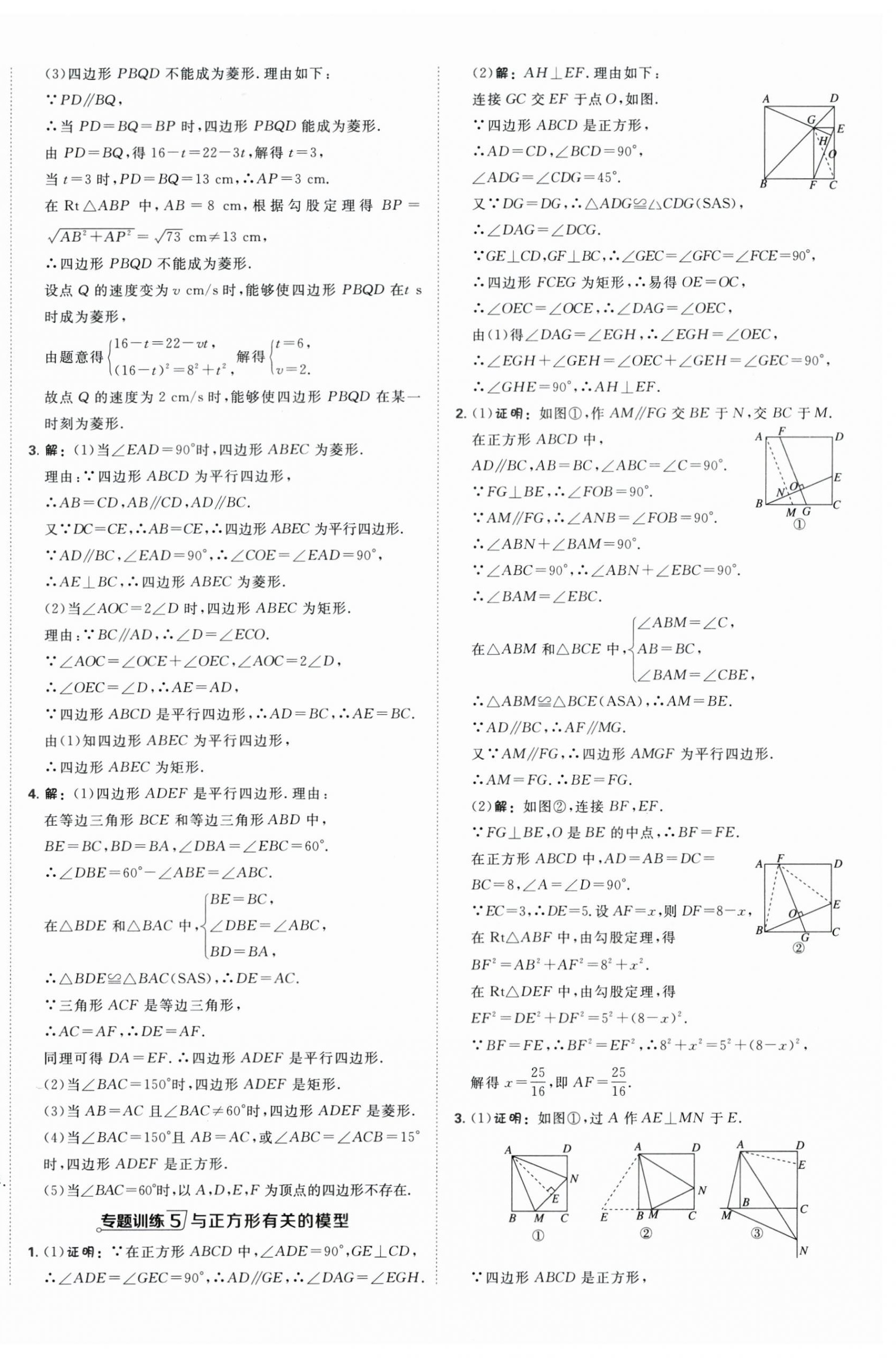 2026年点拨训练八年级数学下册苏科版&nbsp;第15页