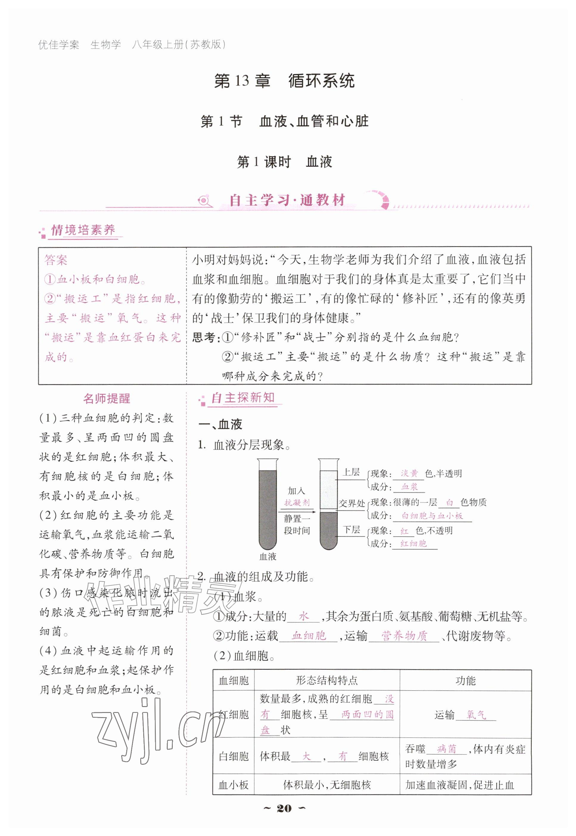 2026年优佳学案（云南）八年级生物上册苏教版&nbsp;参考答案第20页