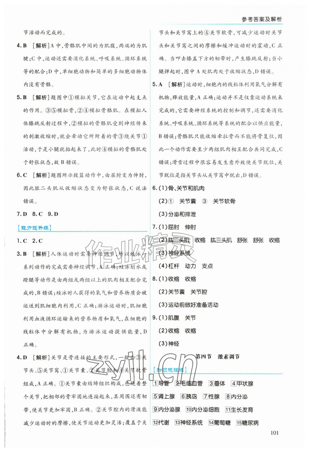 2026年作业上海教育出版社八年级生物上册人教版陕西专版&nbsp;第7页