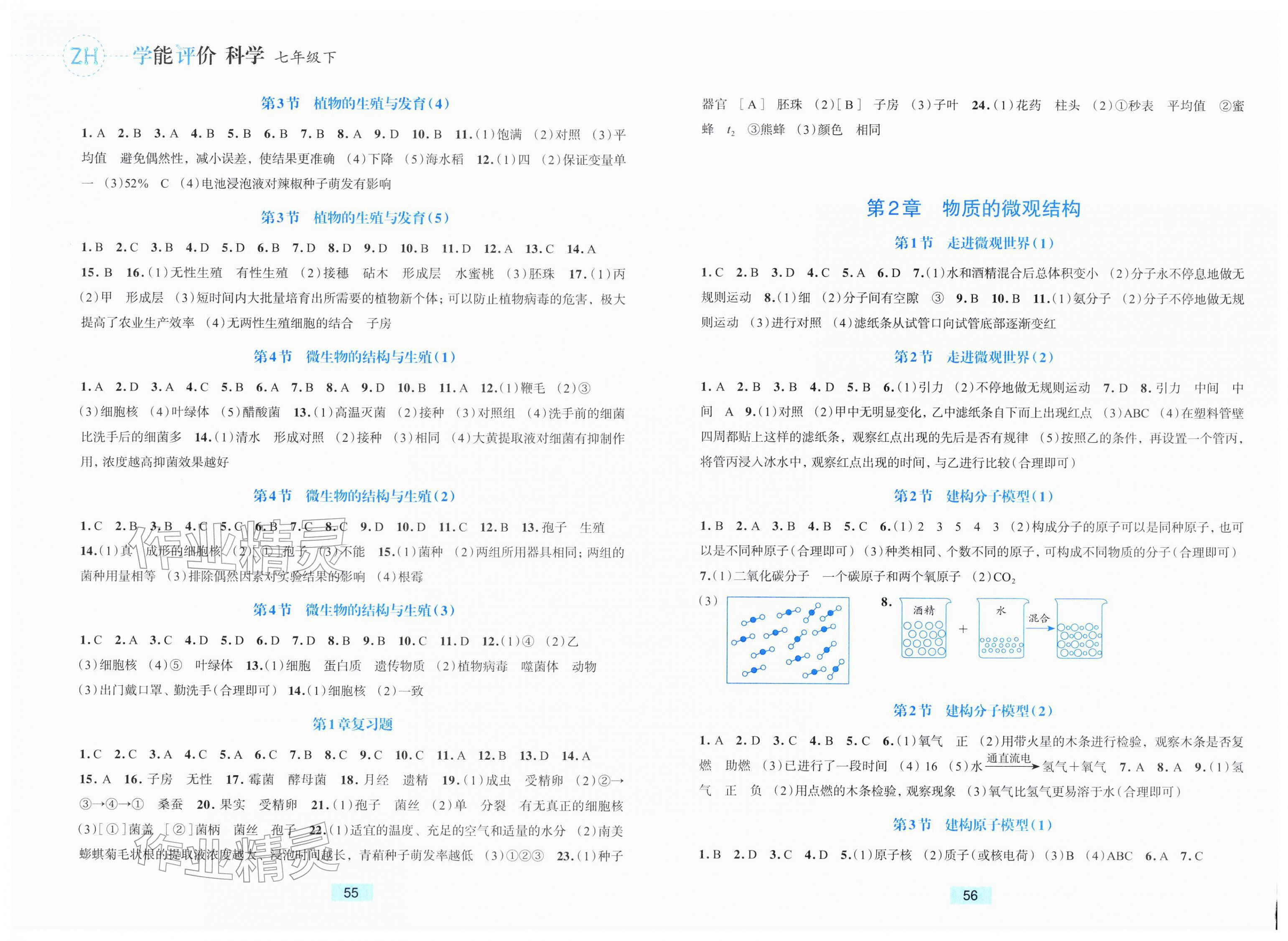 2026年学能评价七年级科学下册浙教版&nbsp;第2页