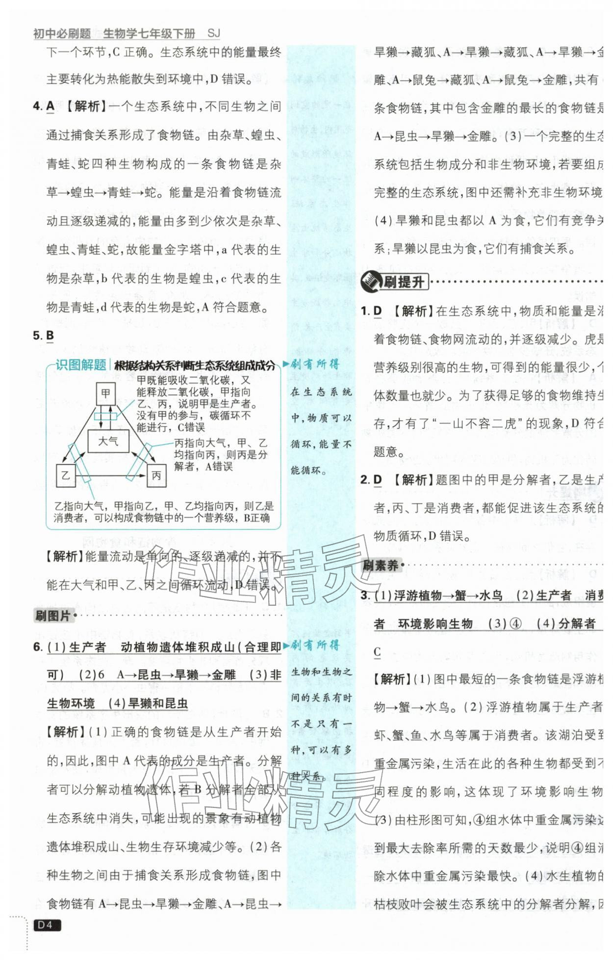 2026年初中必刷题七年级生物下册苏教版&nbsp;第4页