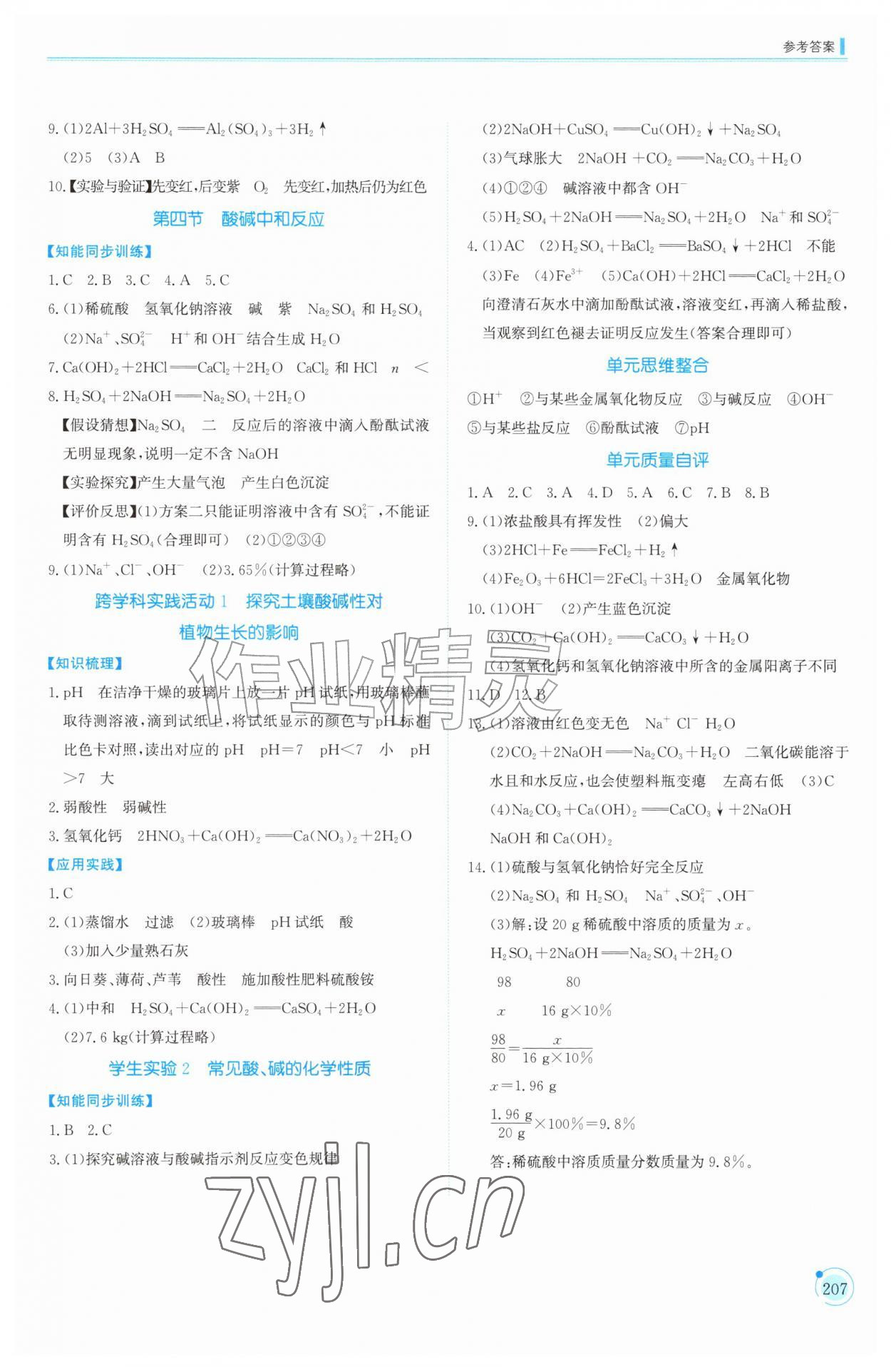 2026年同步练习册山东科学技术出版社九年级化学全一册鲁教版五四制&nbsp;第3页