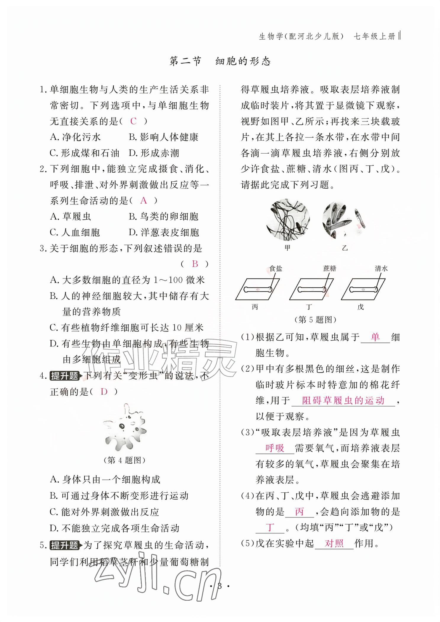 2026年作业本江西教育出版社七年级生物上册冀少版&nbsp;参考答案第3页
