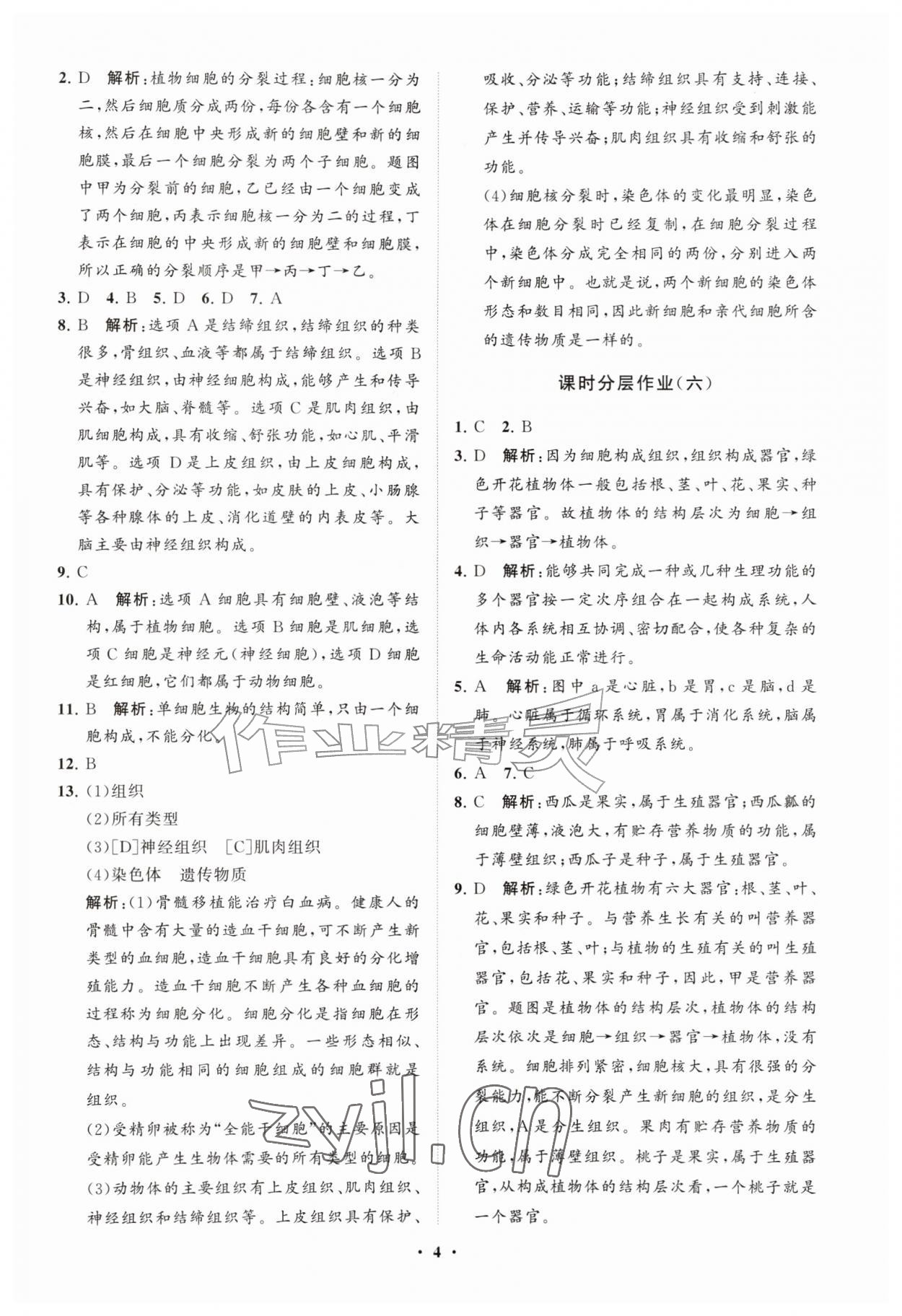2026年同步练习册分层拓展七年级生物上册济南版&nbsp;参考答案第4页