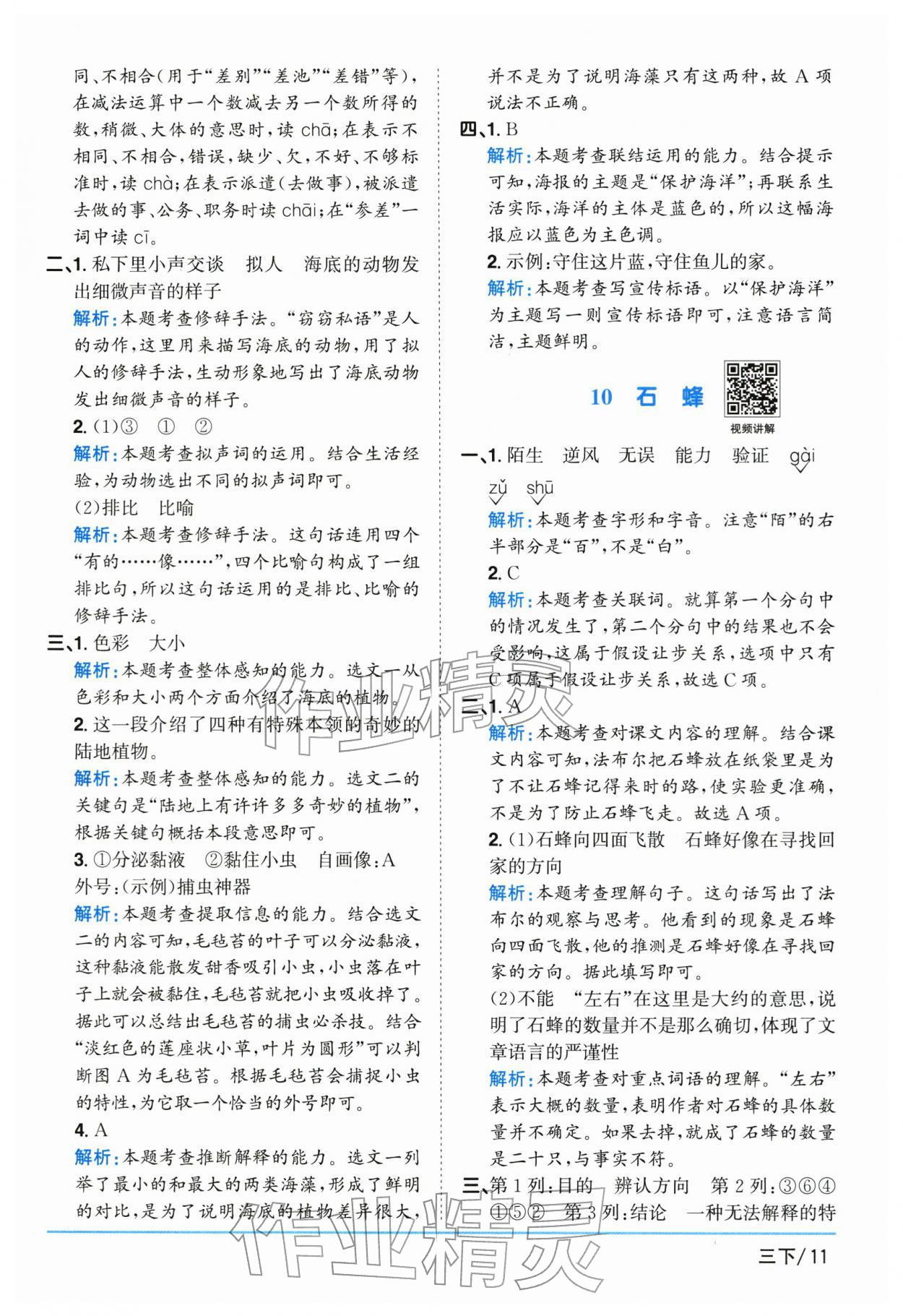 2026年阳光同学课时优化作业三年级语文下册人教版江苏专版&nbsp;参考答案第11页