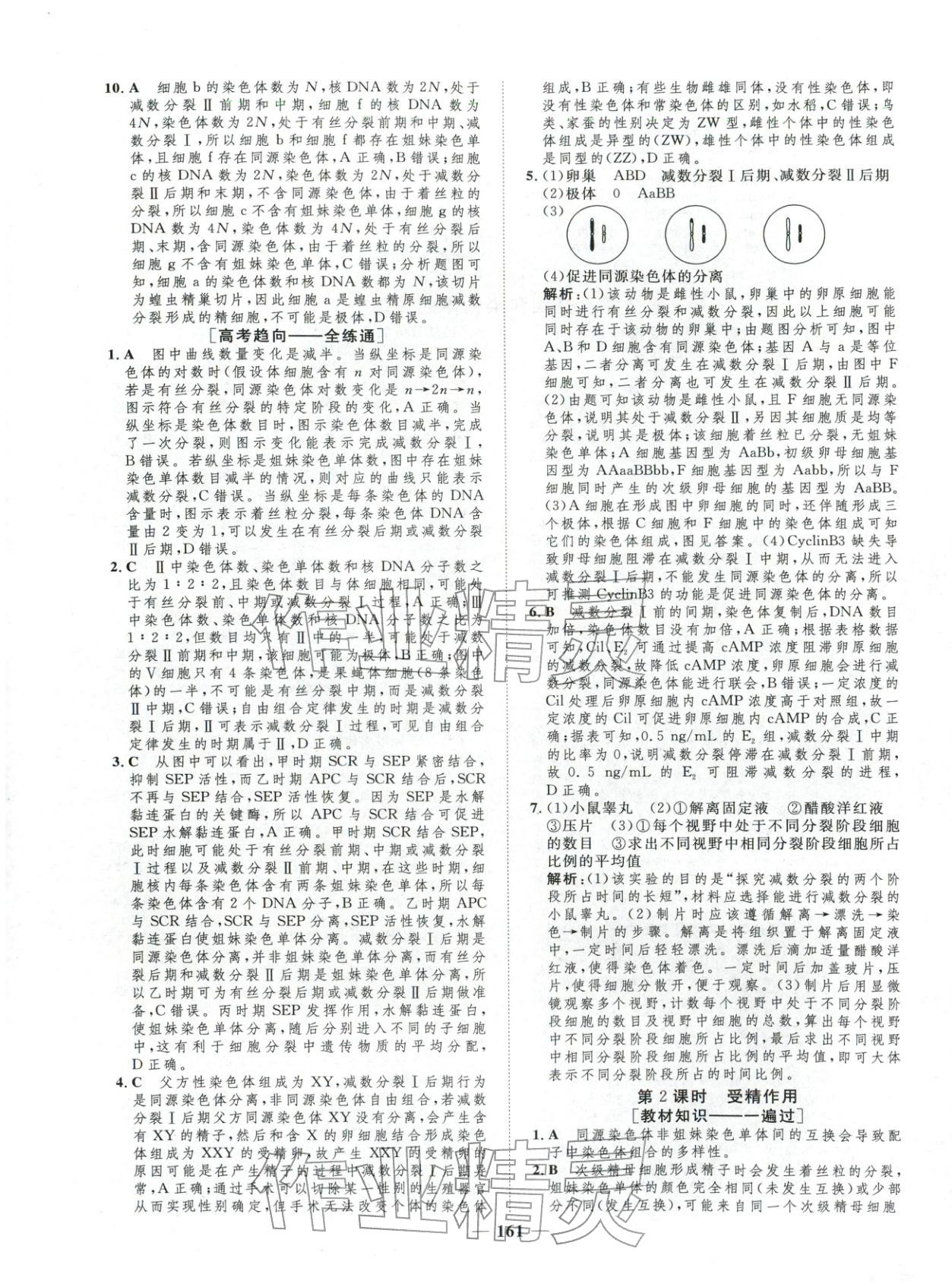 2025年三维设计学思用精练高中生物必修第二册&nbsp;第11页