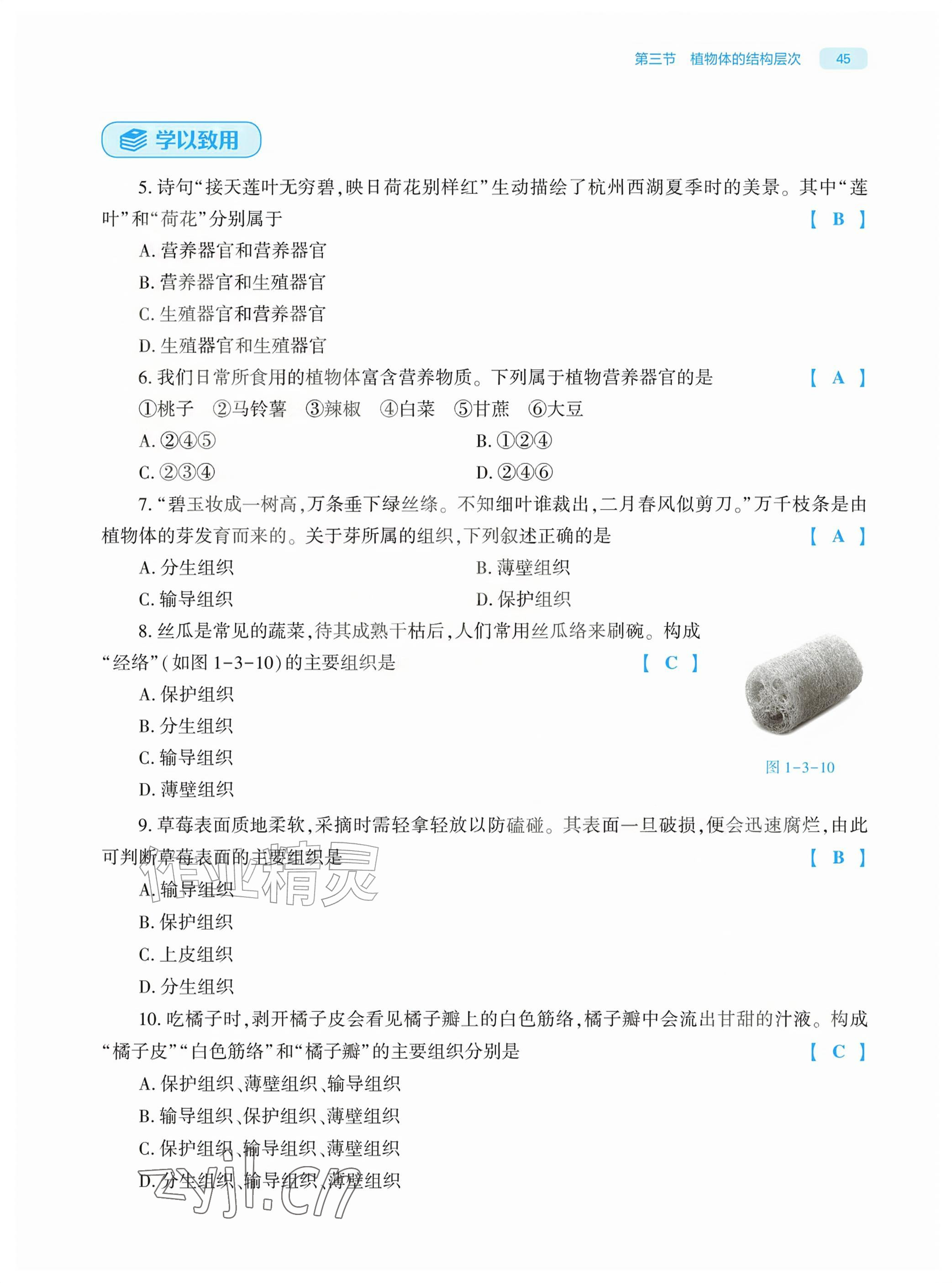 2026年基础训练大象出版社七年级生物上册人教版&nbsp;参考答案第45页