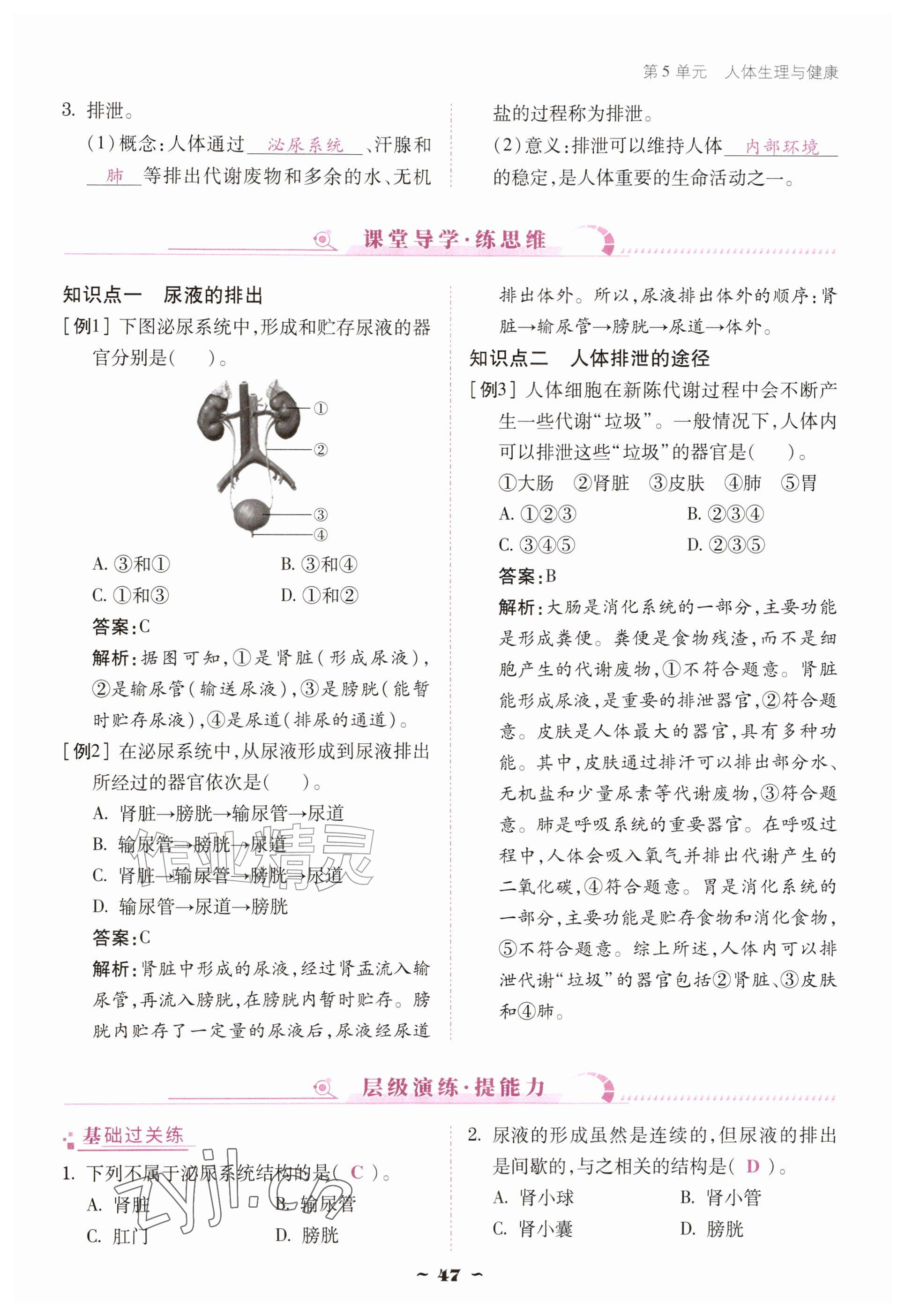 2026年优佳学案（云南）八年级生物上册苏教版&nbsp;参考答案第47页