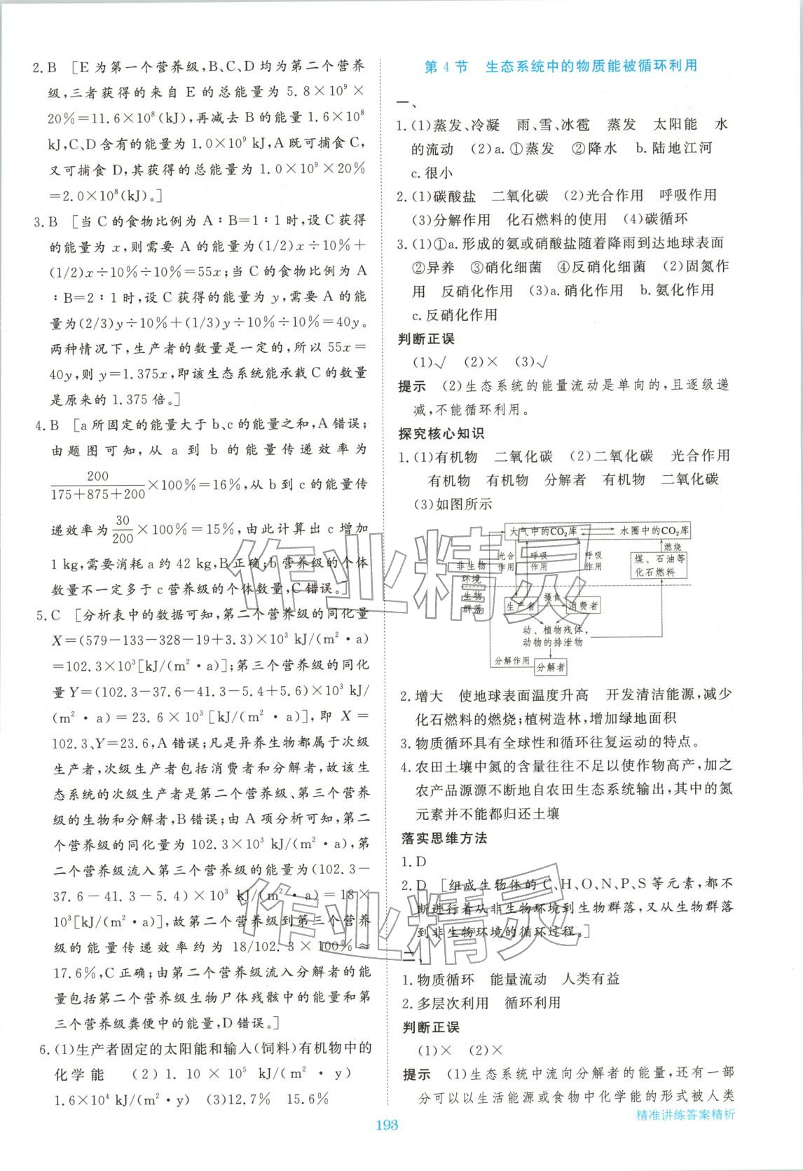 2026年步步高精准讲练高中生物选择性必修第二册浙科版&nbsp;参考答案第12页