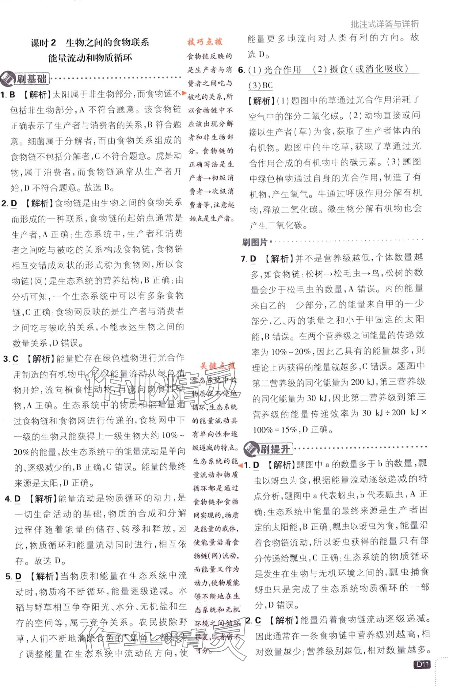 2024年初中必刷题九年级科学下册浙教版浙江专版&nbsp;第11页