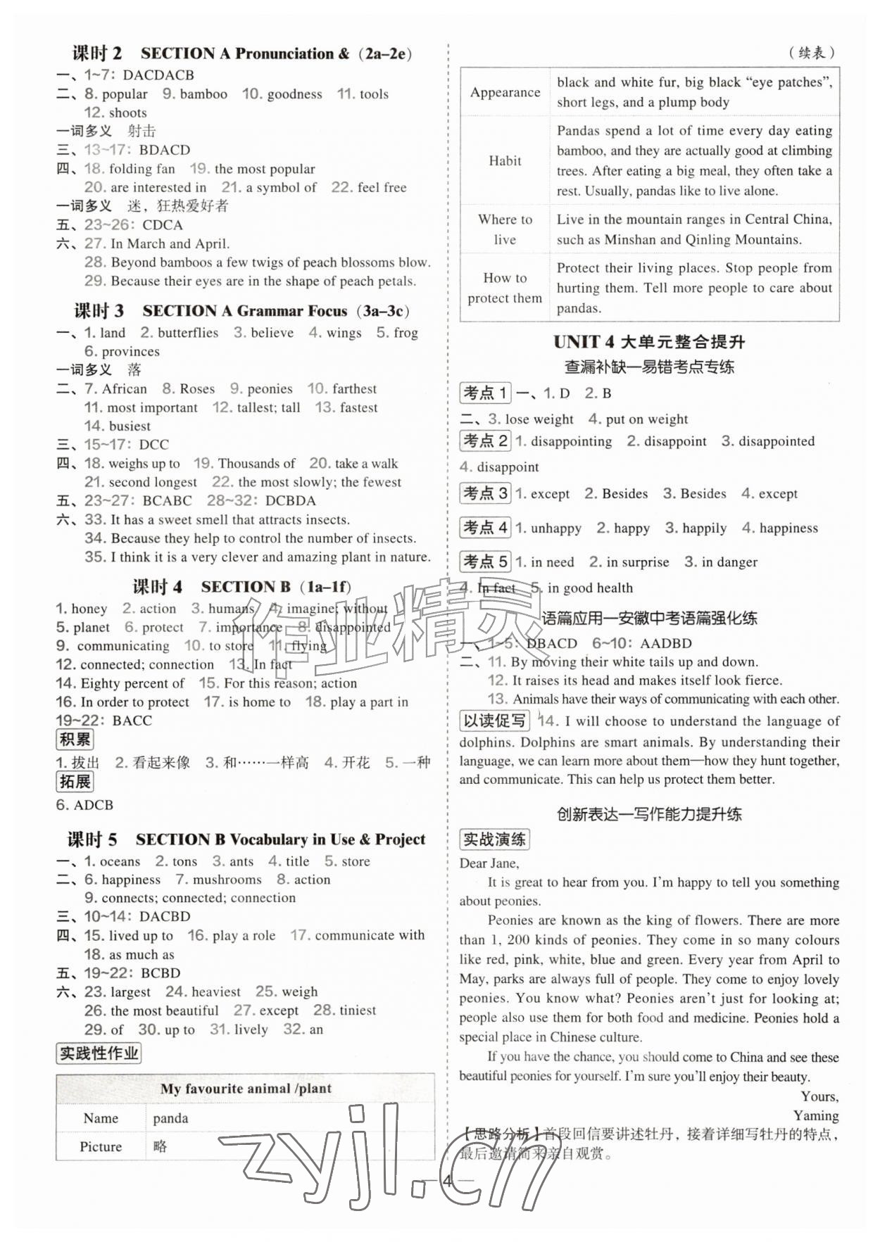 2026年点拨训练八年级英语上册人教版安徽专版&nbsp;第4页