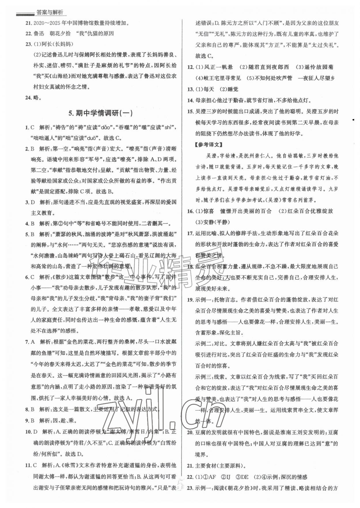2026年真题圈七年级语文上册人教版天津专版&nbsp;参考答案第5页