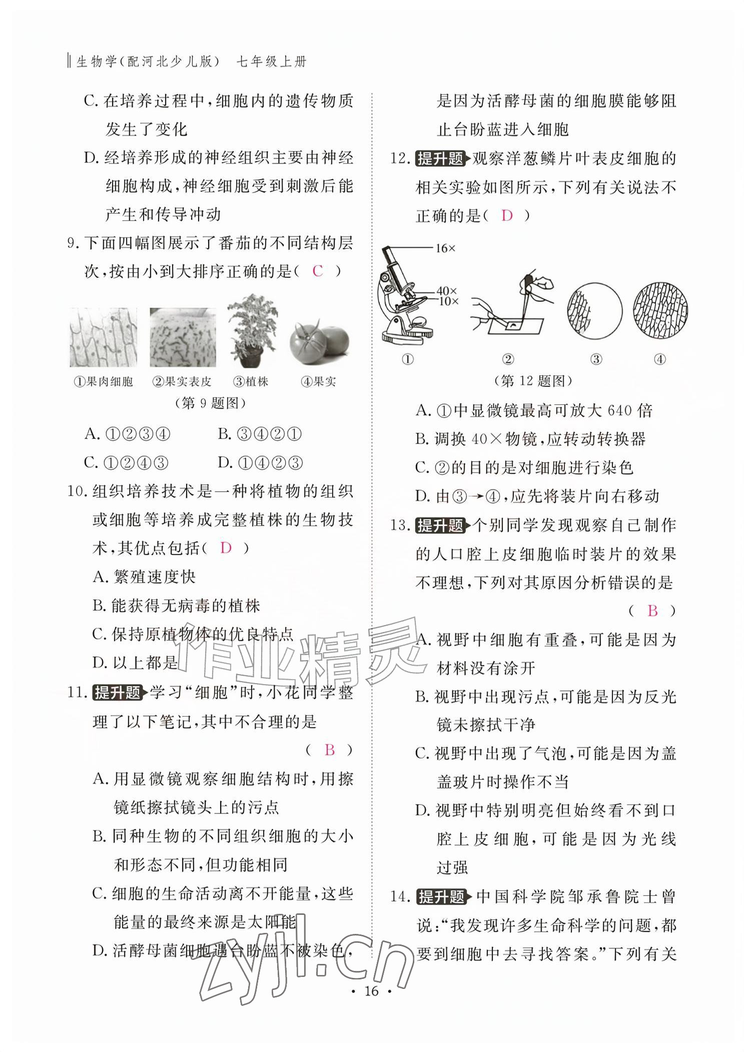 2026年作业本江西教育出版社七年级生物上册冀少版&nbsp;参考答案第16页