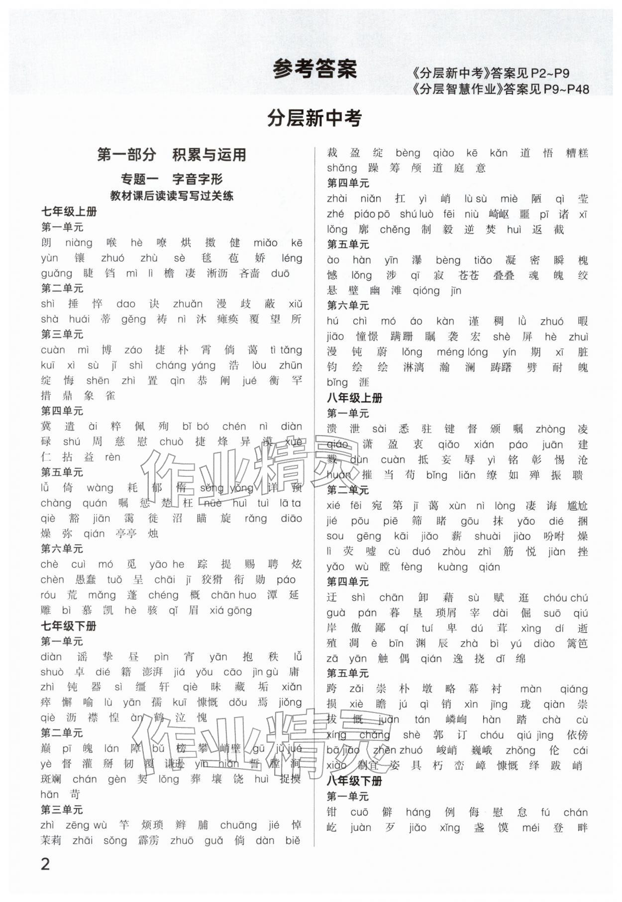 2026年分层新中考九年级语文人教版河南专版&nbsp;参考答案第1页