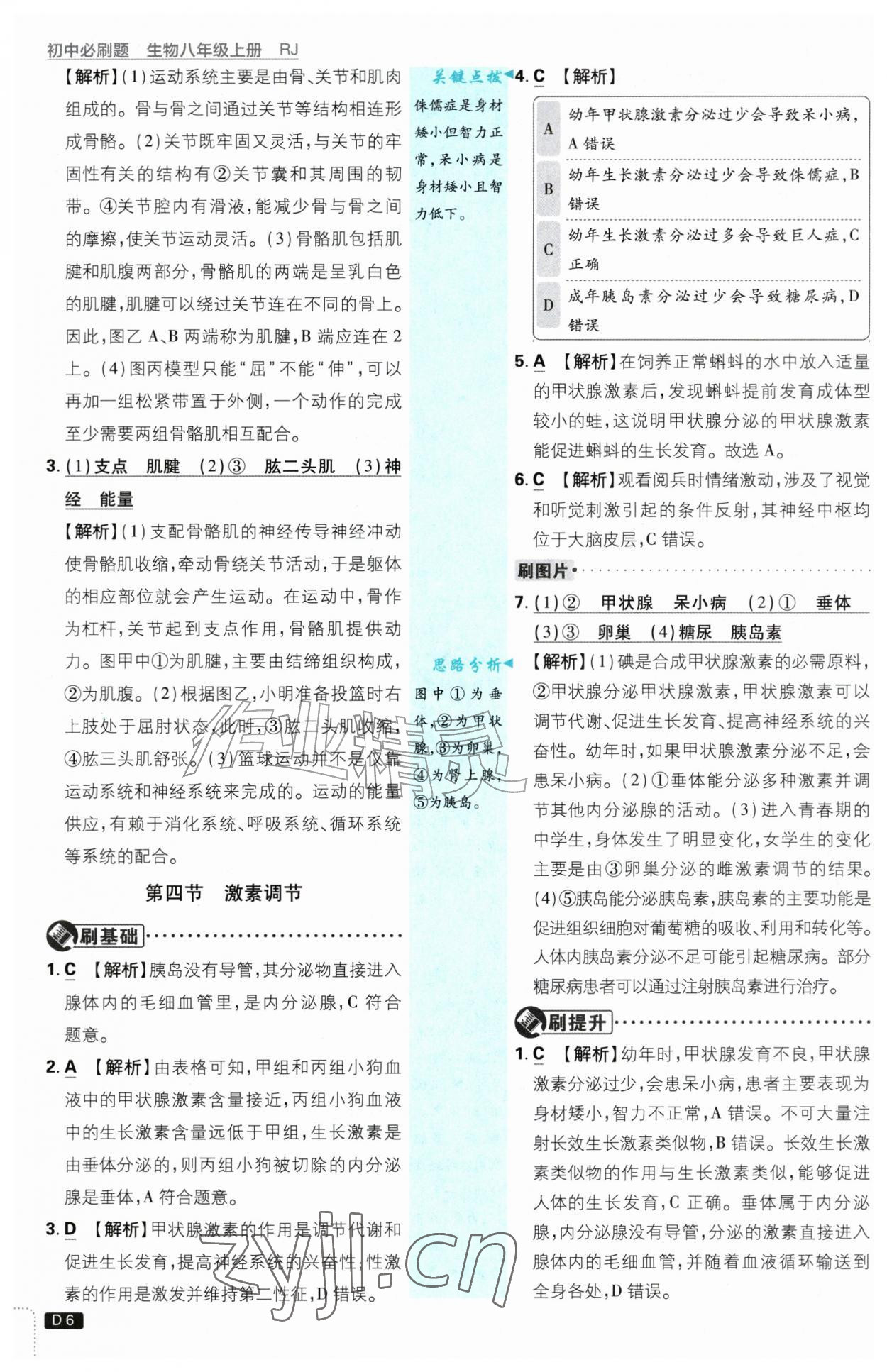 2026年初中必刷题八年级生物上册人教版&nbsp;第6页