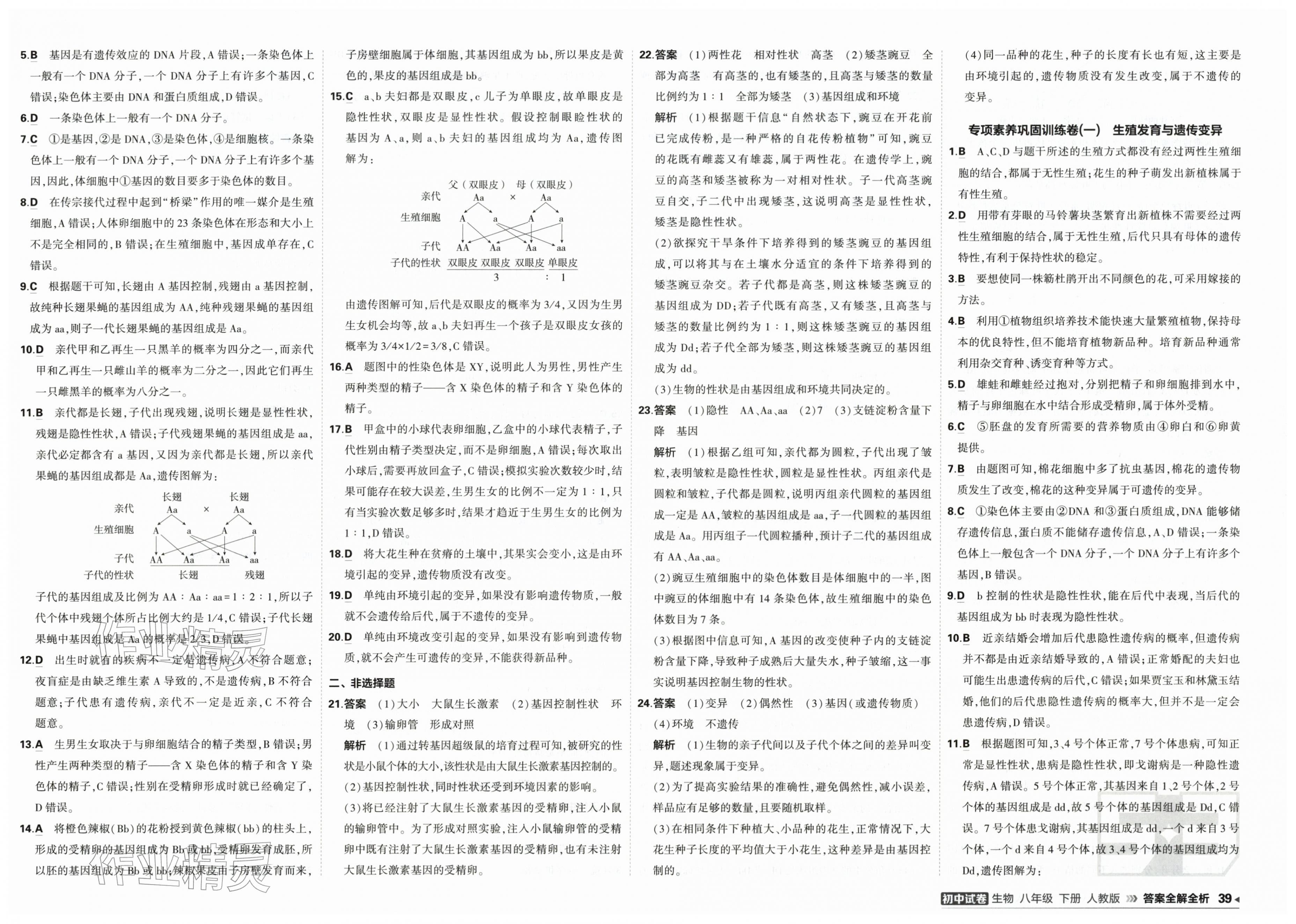 2026年5年中考3年模拟初中试卷八年级生物下册人教版&nbsp;第3页