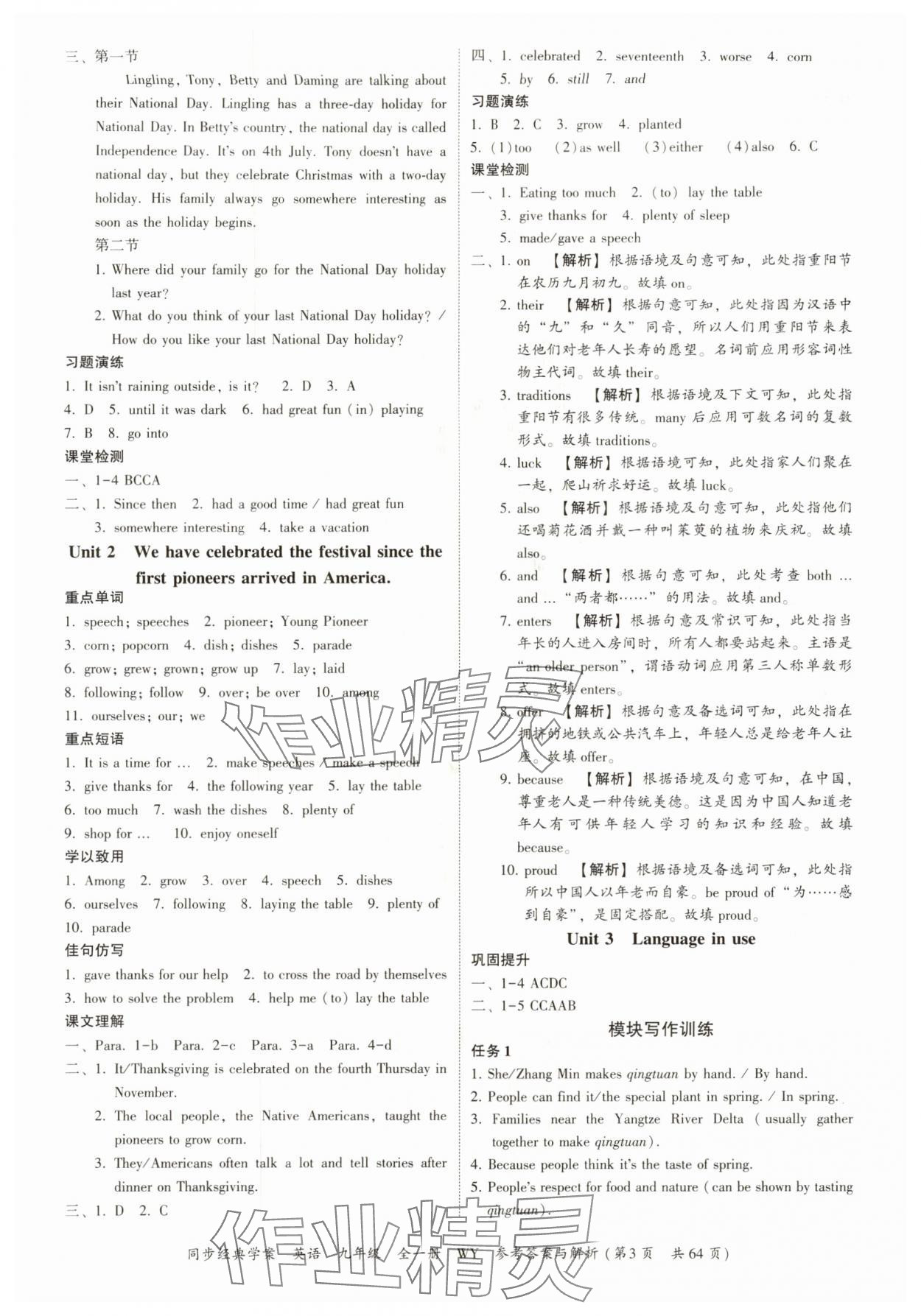 2025年同步经典学案九年级英语全一册外研版&nbsp;第3页