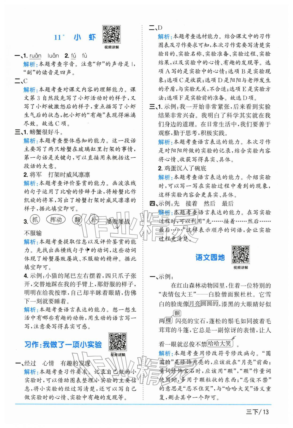 2026年阳光同学课时优化作业三年级语文下册人教版江苏专版&nbsp;参考答案第13页