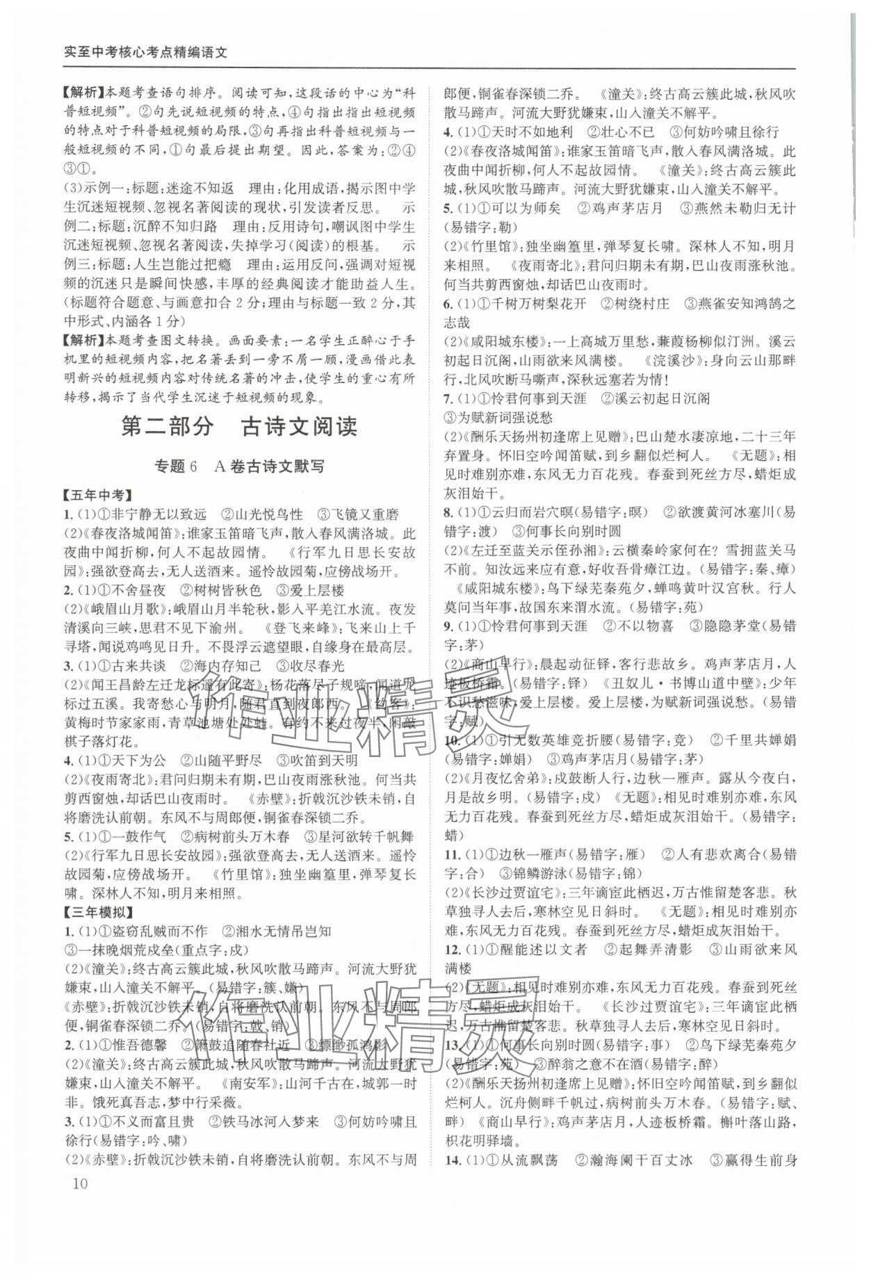 2025年实至中考核心考点精编语文中考成都专版&nbsp;第10页