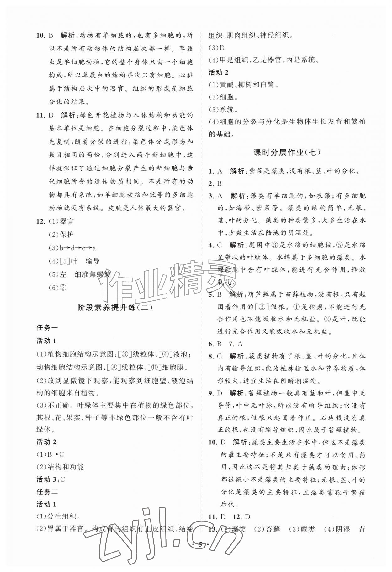 2026年同步练习册分层拓展七年级生物上册济南版&nbsp;参考答案第5页