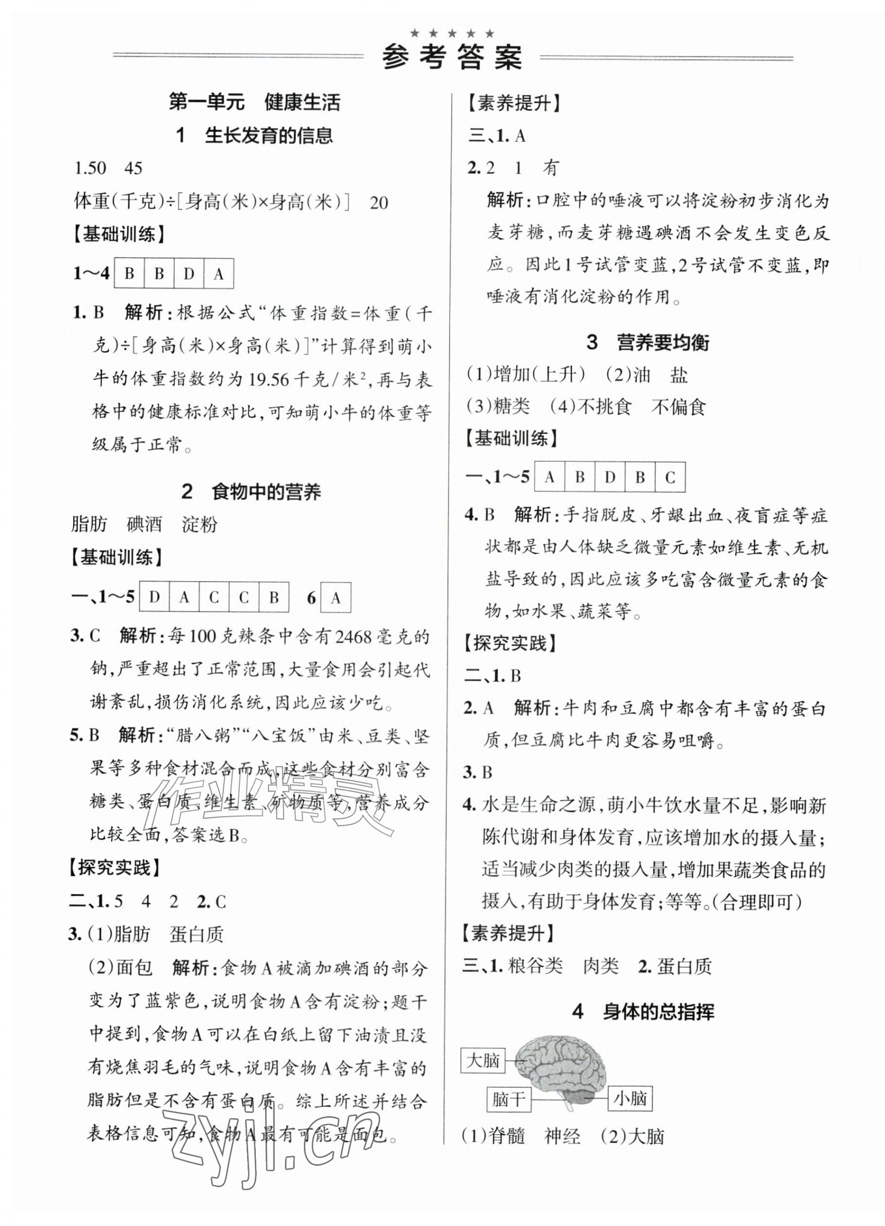 2026年小学学霸作业本六年级科学上册教科版&nbsp;参考答案第1页