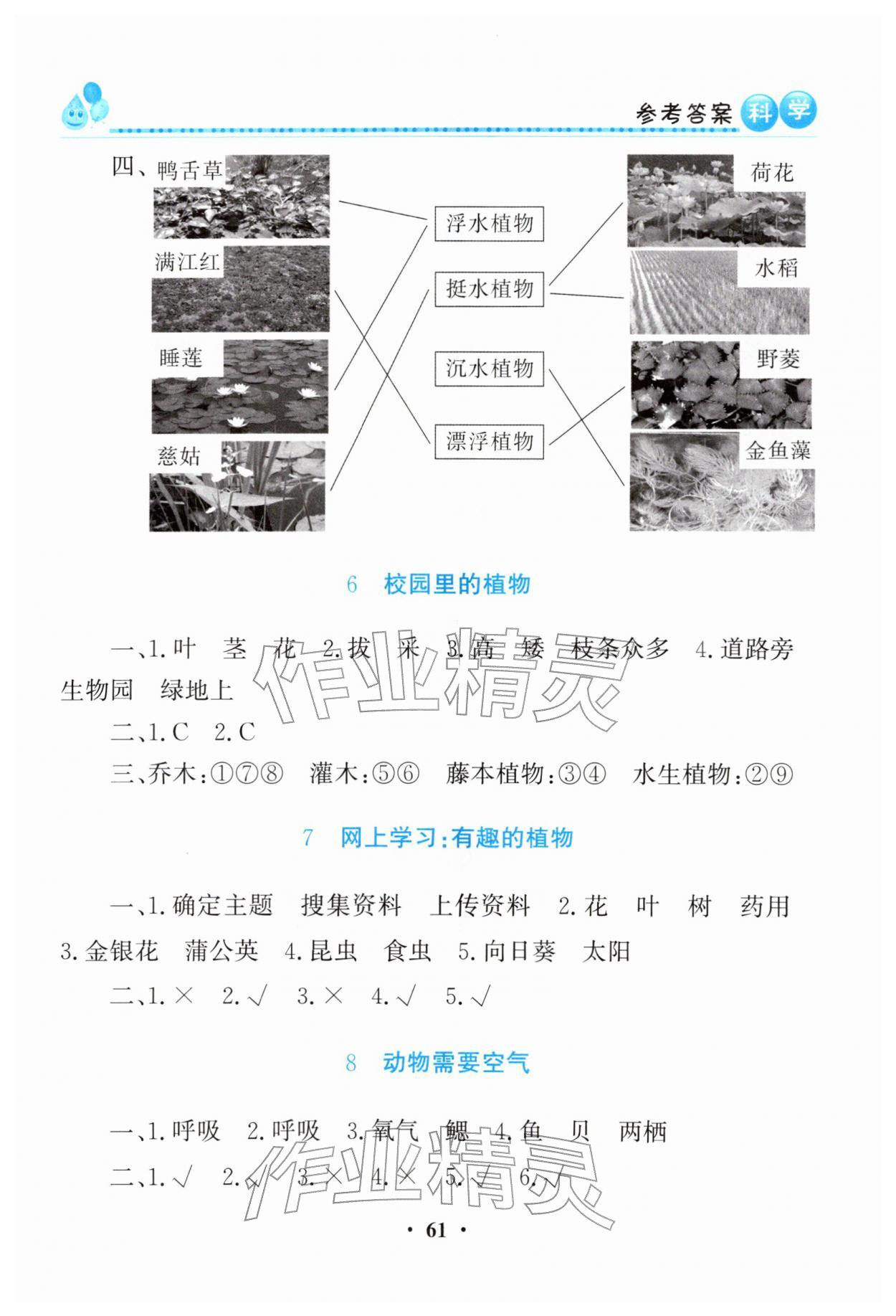 2026年同步活动练习册四年级科学下册科粤版&nbsp;第3页
