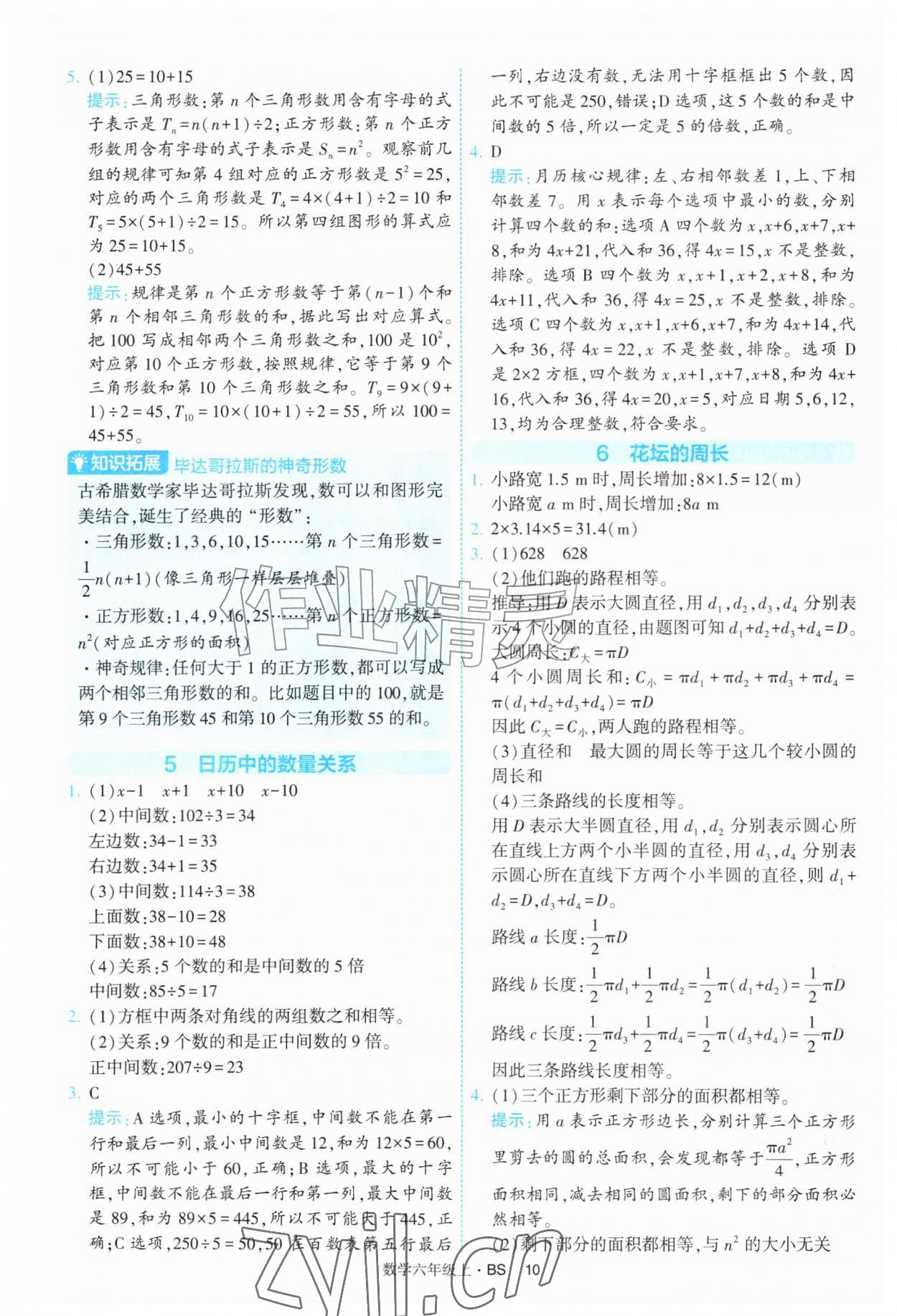 2026年经纶学典提高班六年级数学上册北师大版&nbsp;第10页