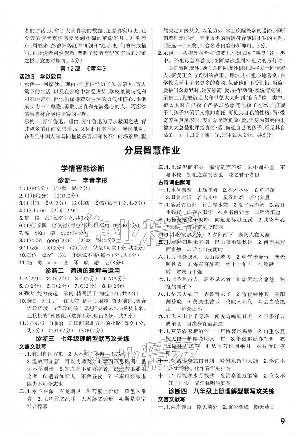 2026年分层新中考九年级语文人教版河南专版&nbsp;参考答案第8页