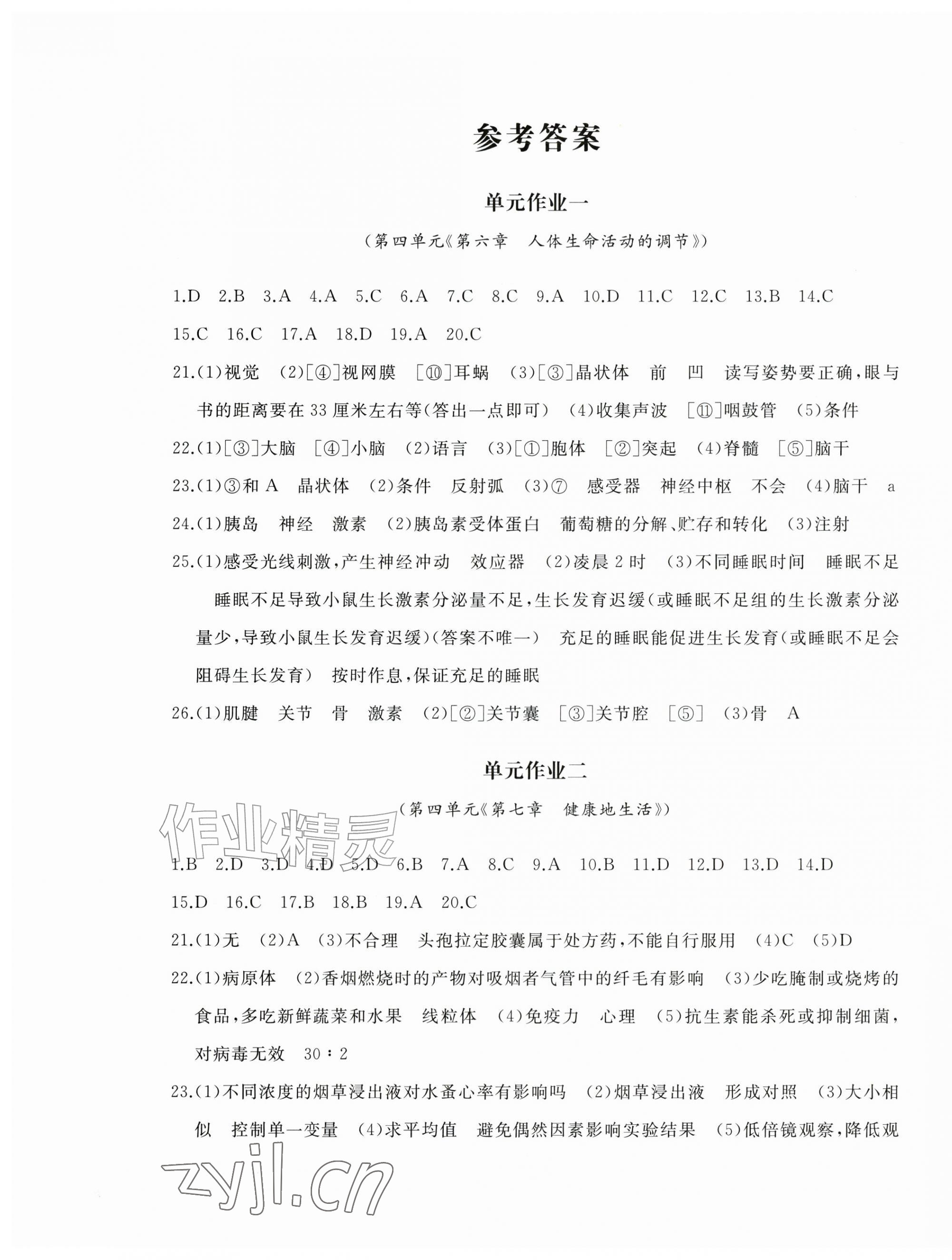 2026年精练课堂分层作业八年级生物上册人教版临沂专版&nbsp;第1页