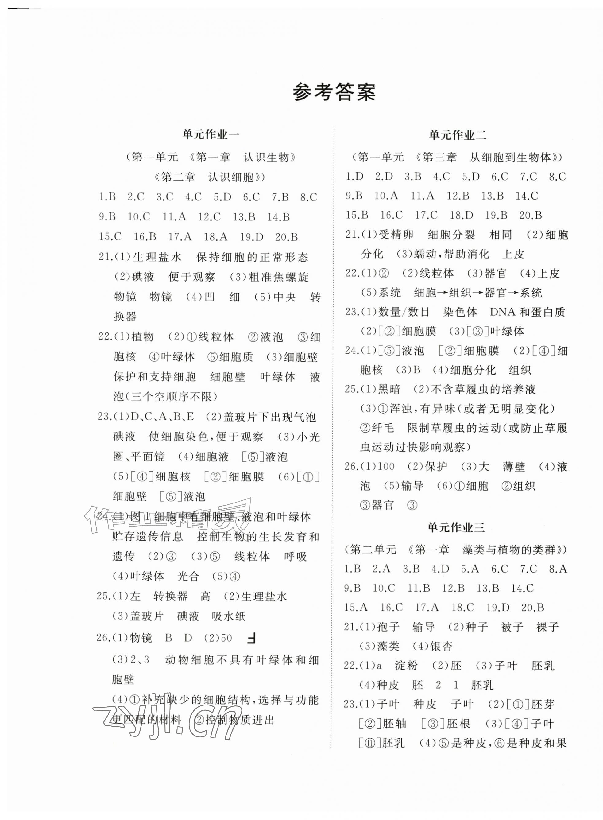 2026年精练课堂分层作业七年级生物上册济南版&nbsp;第1页