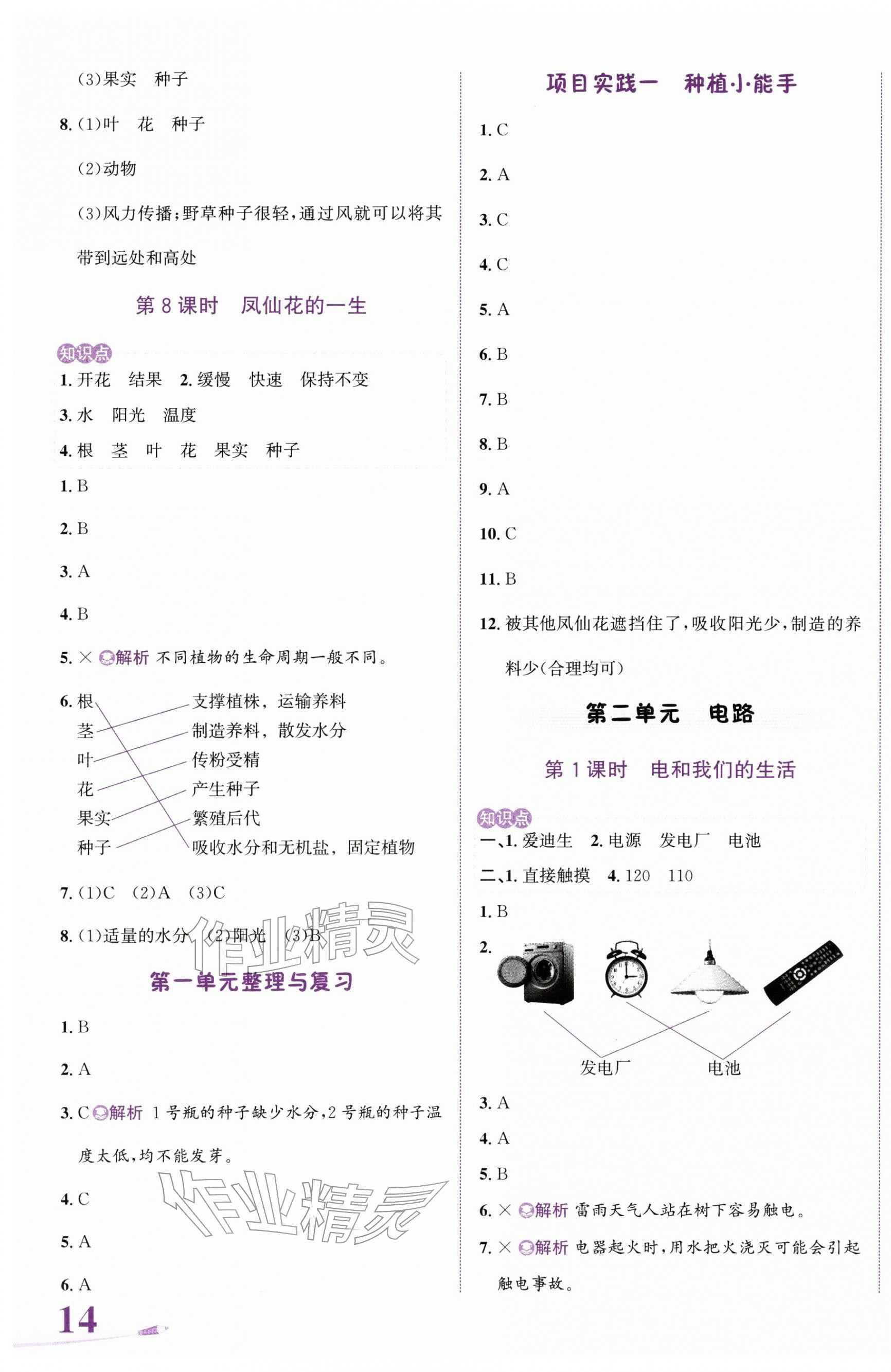 2026年奔跑吧少年四年级科学下册教科版&nbsp;第3页