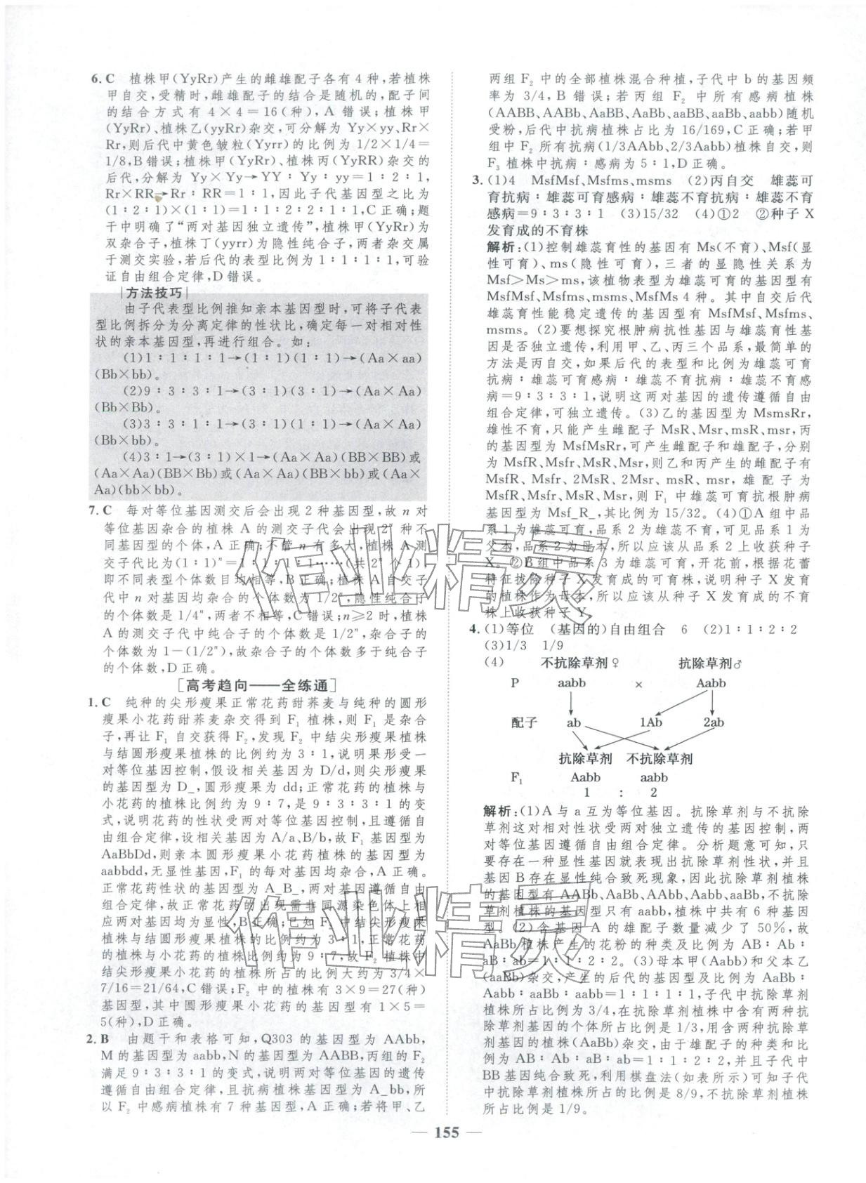 2025年三维设计学思用精练高中生物必修第二册&nbsp;第5页