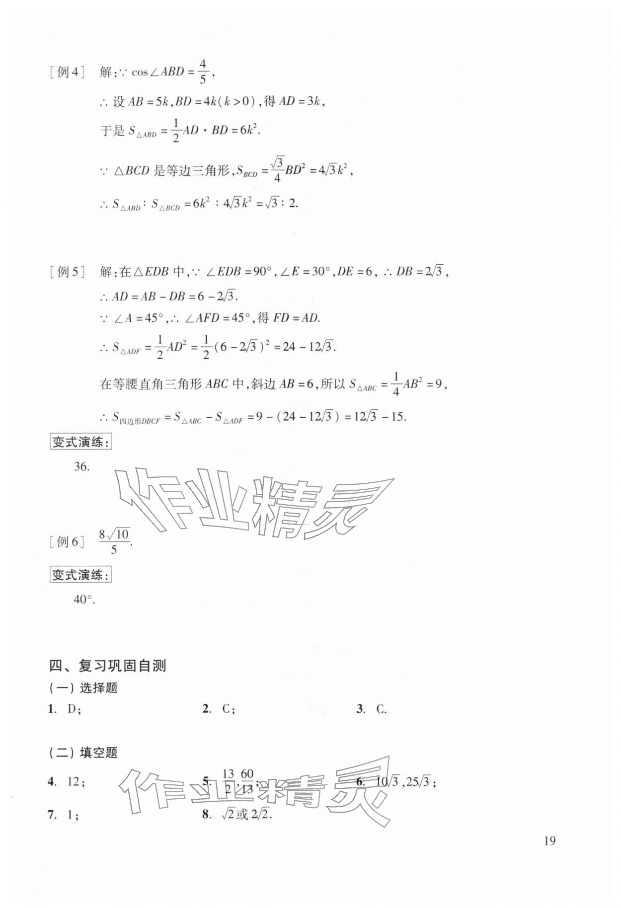 2026年初中数学复习点要初三总复习&nbsp;参考答案第19页