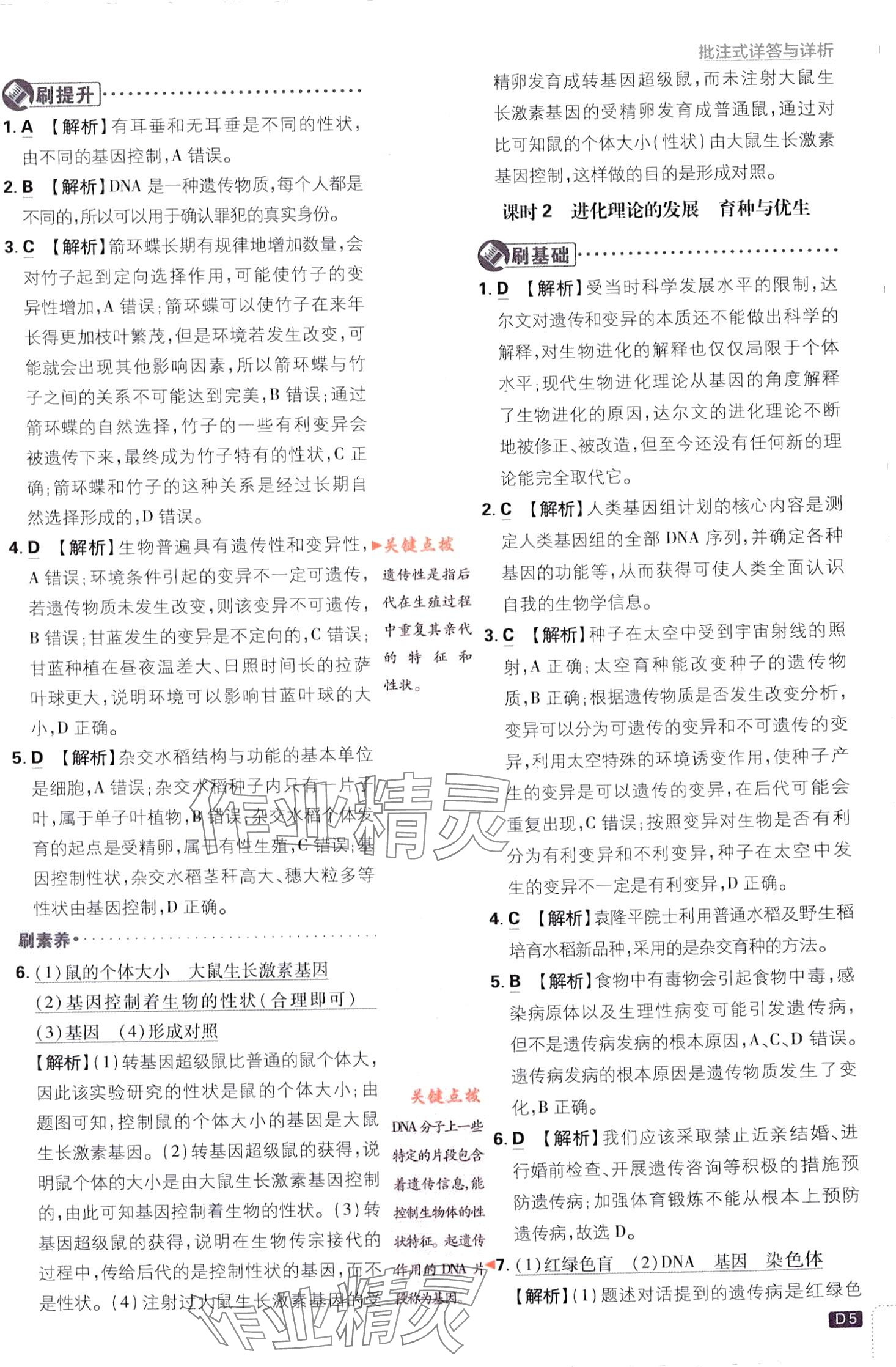 2024年初中必刷题九年级科学下册浙教版浙江专版&nbsp;第5页