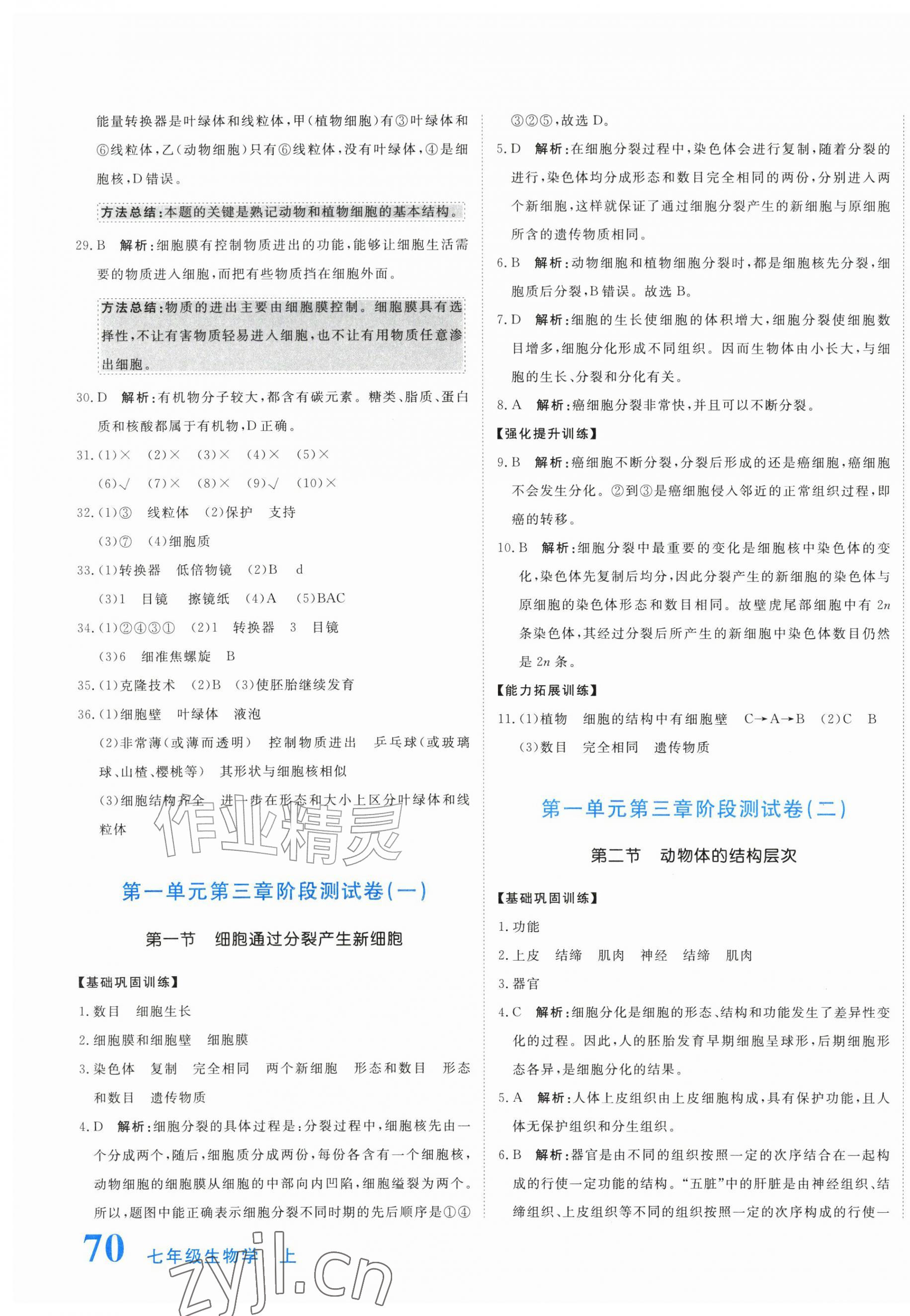 2026年新目标检测同步单元测试卷七年级生物上册人教版&nbsp;第7页