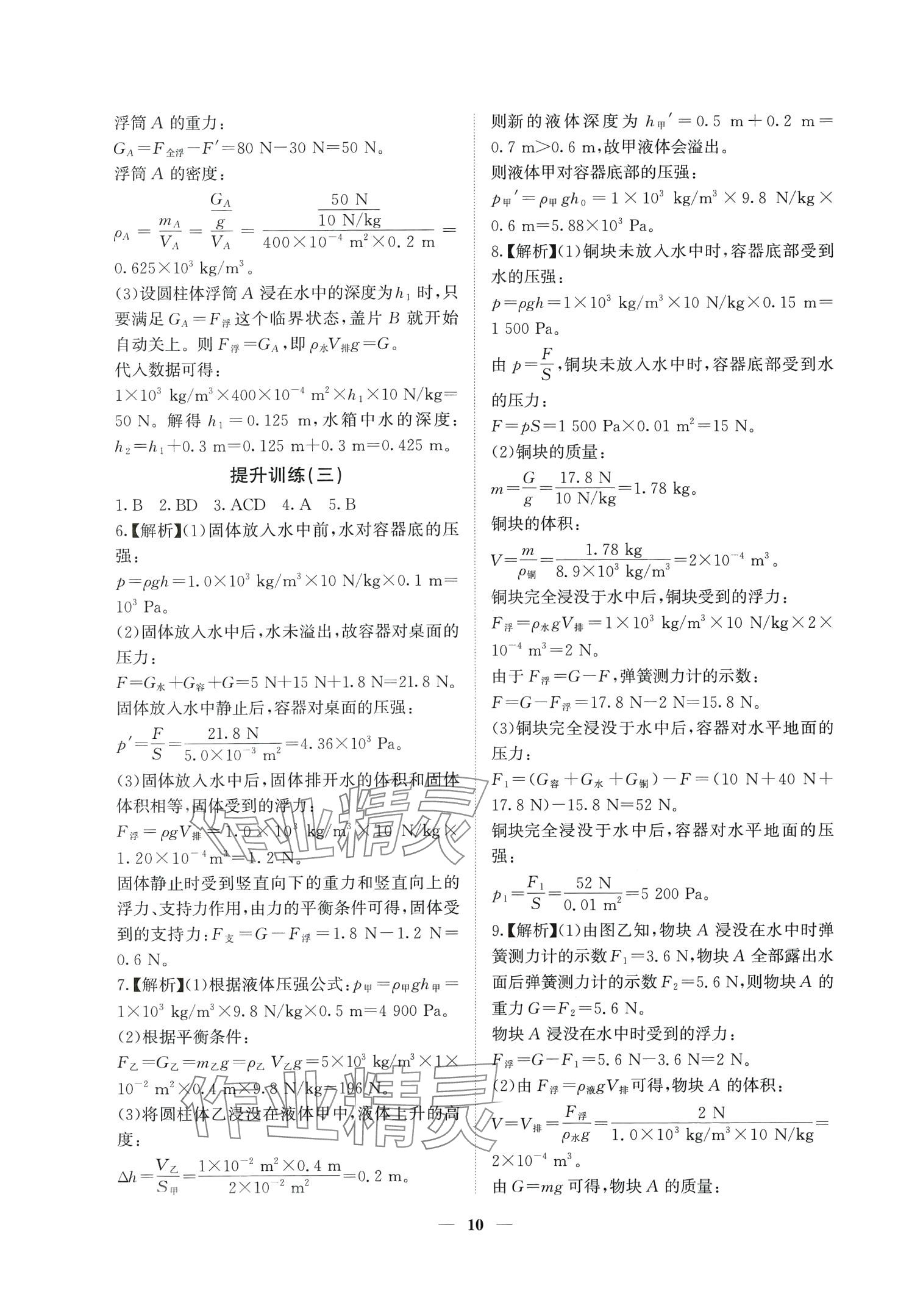 2024年中考领航物理湖南专版&nbsp;第10页
