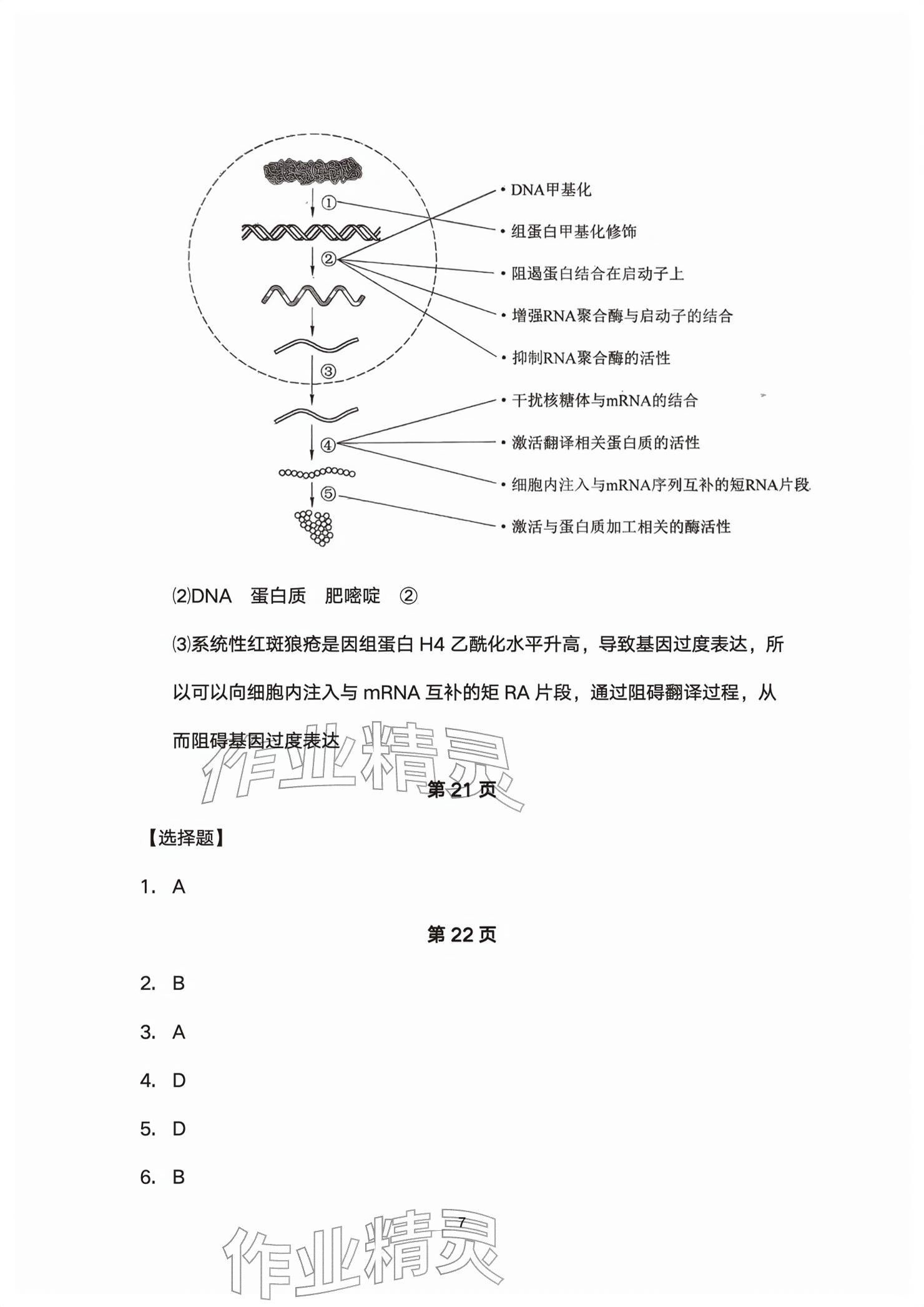 2026年练习部分高中生物必修第二册沪教版&nbsp;参考答案第7页