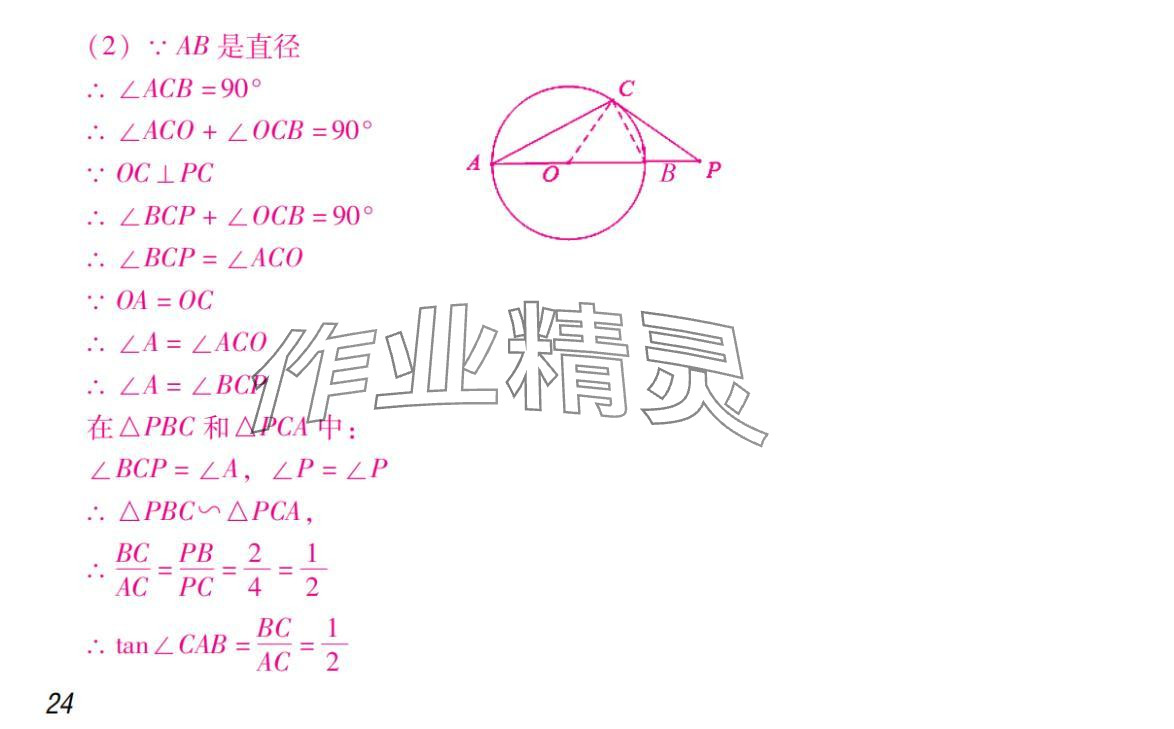 2024年激智数学中考&nbsp;参考答案第24页