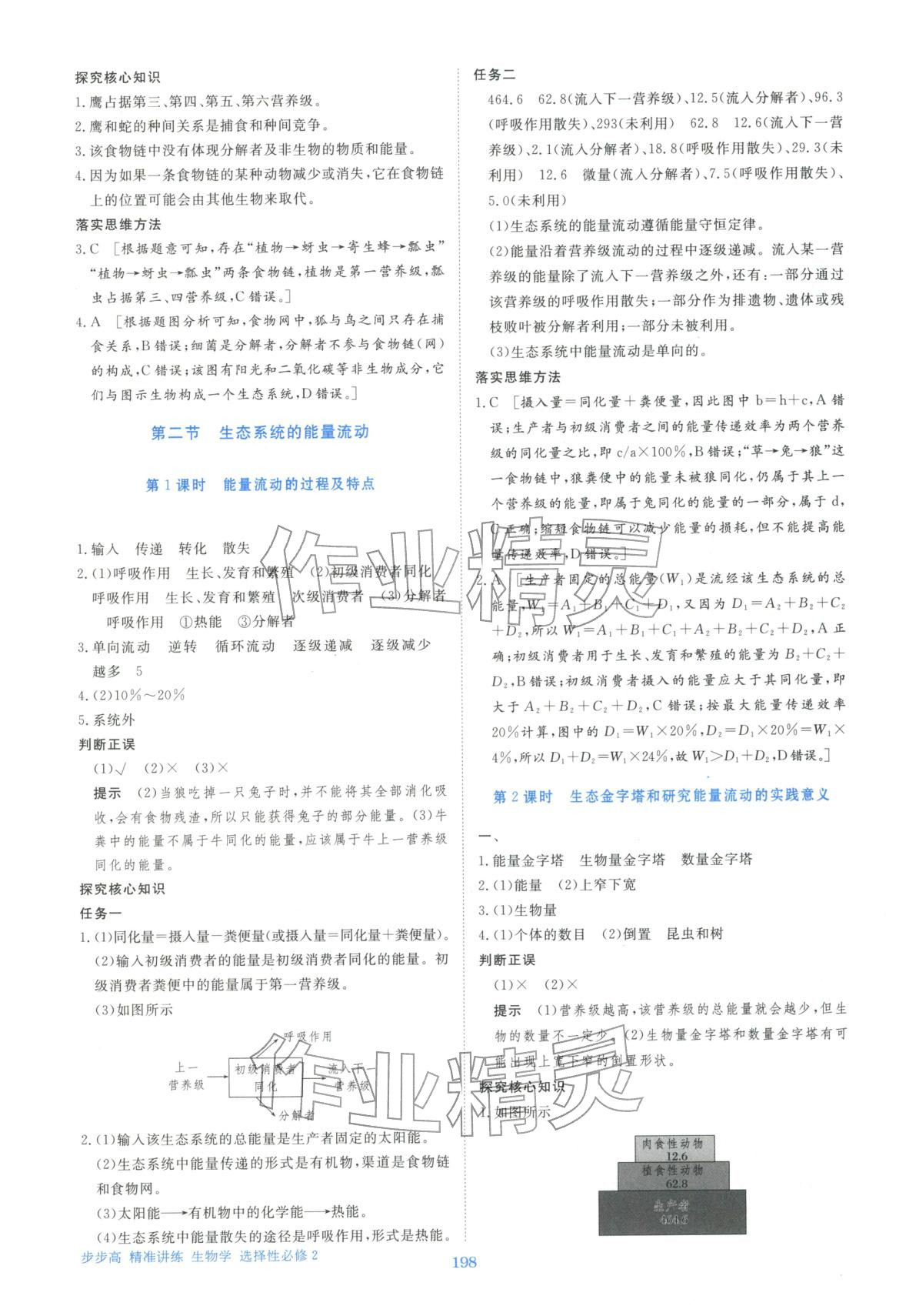 2025年步步高精准讲练生物选择性必修第二册&nbsp;参考答案第9页