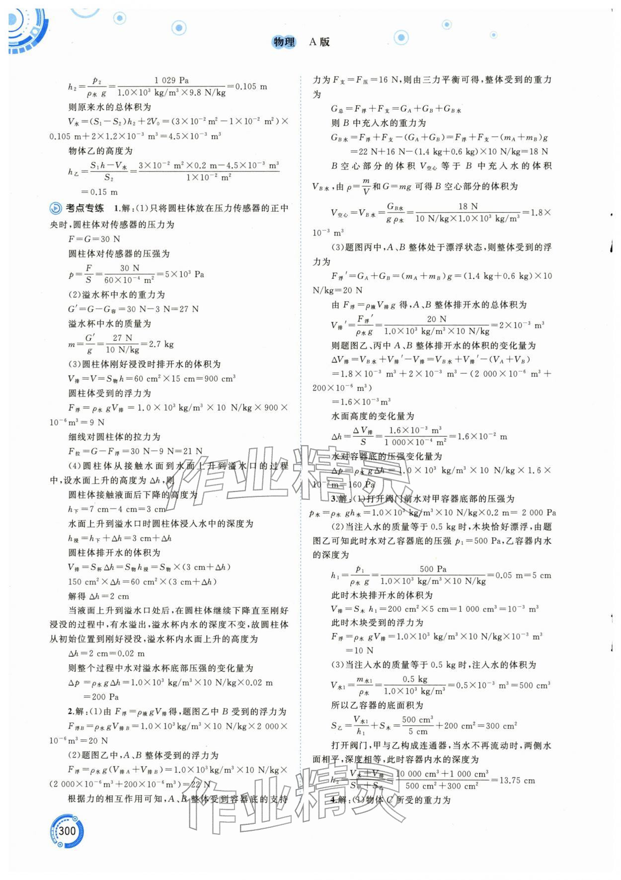 2026年中考先锋中考总复习物理中考人教版&nbsp;参考答案第5页