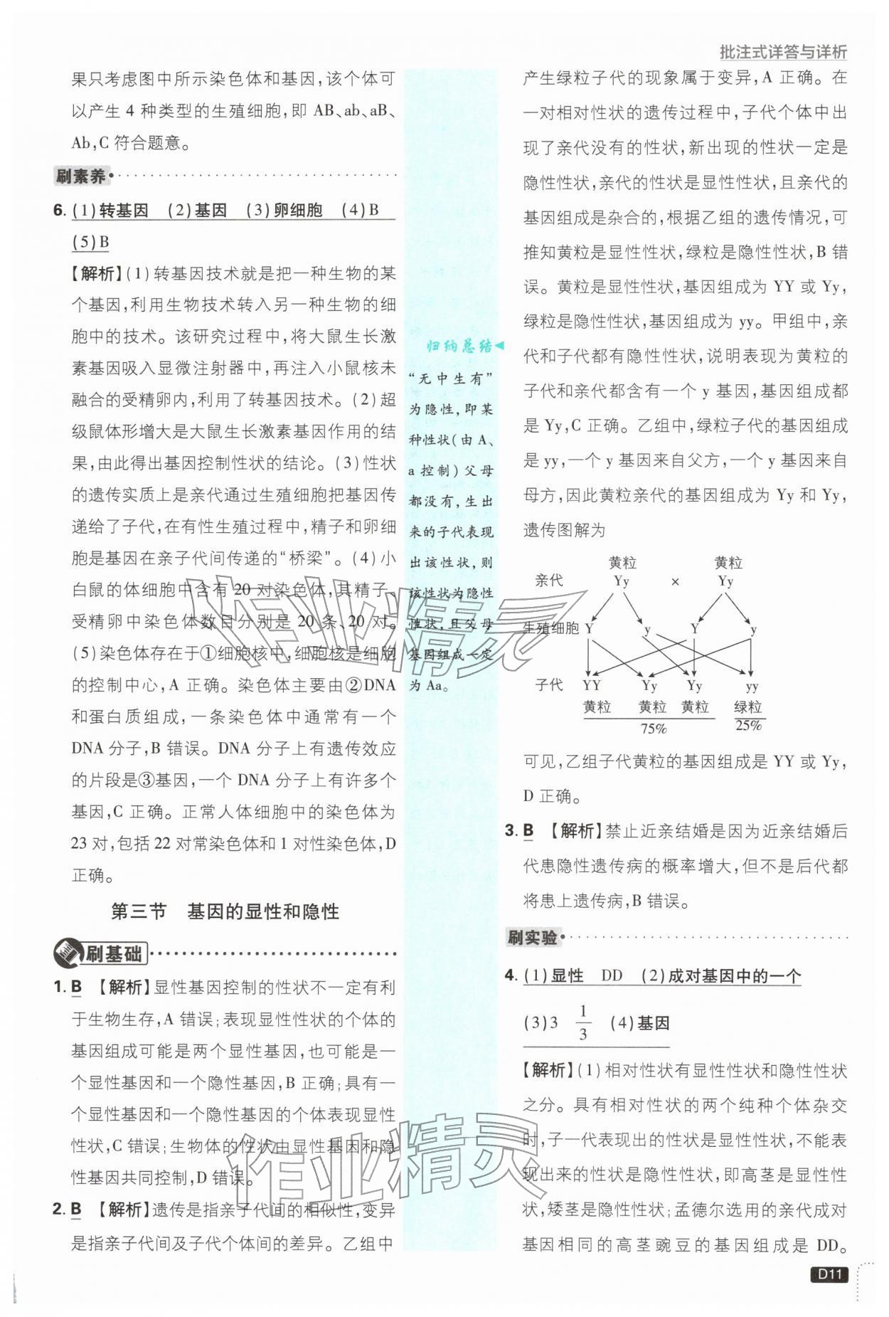2026年初中必刷题八年级生物下册人教版&nbsp;第11页