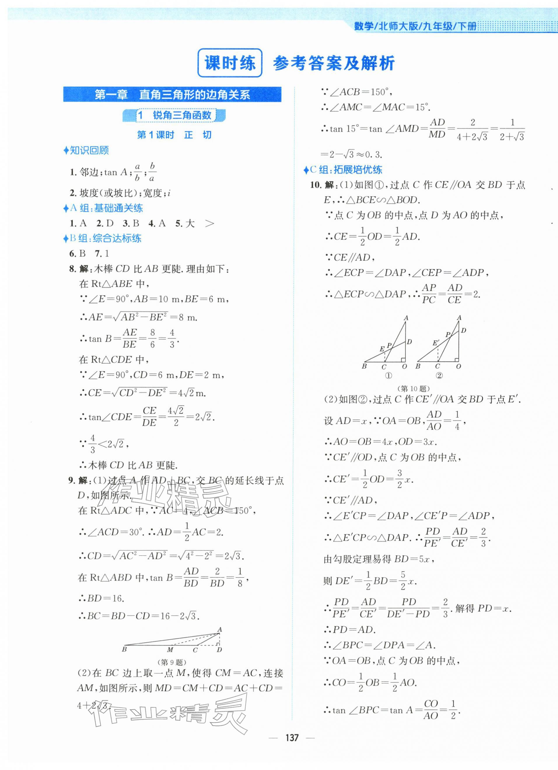 2026年新编基础训练九年级数学下册北师大版&nbsp;第1页