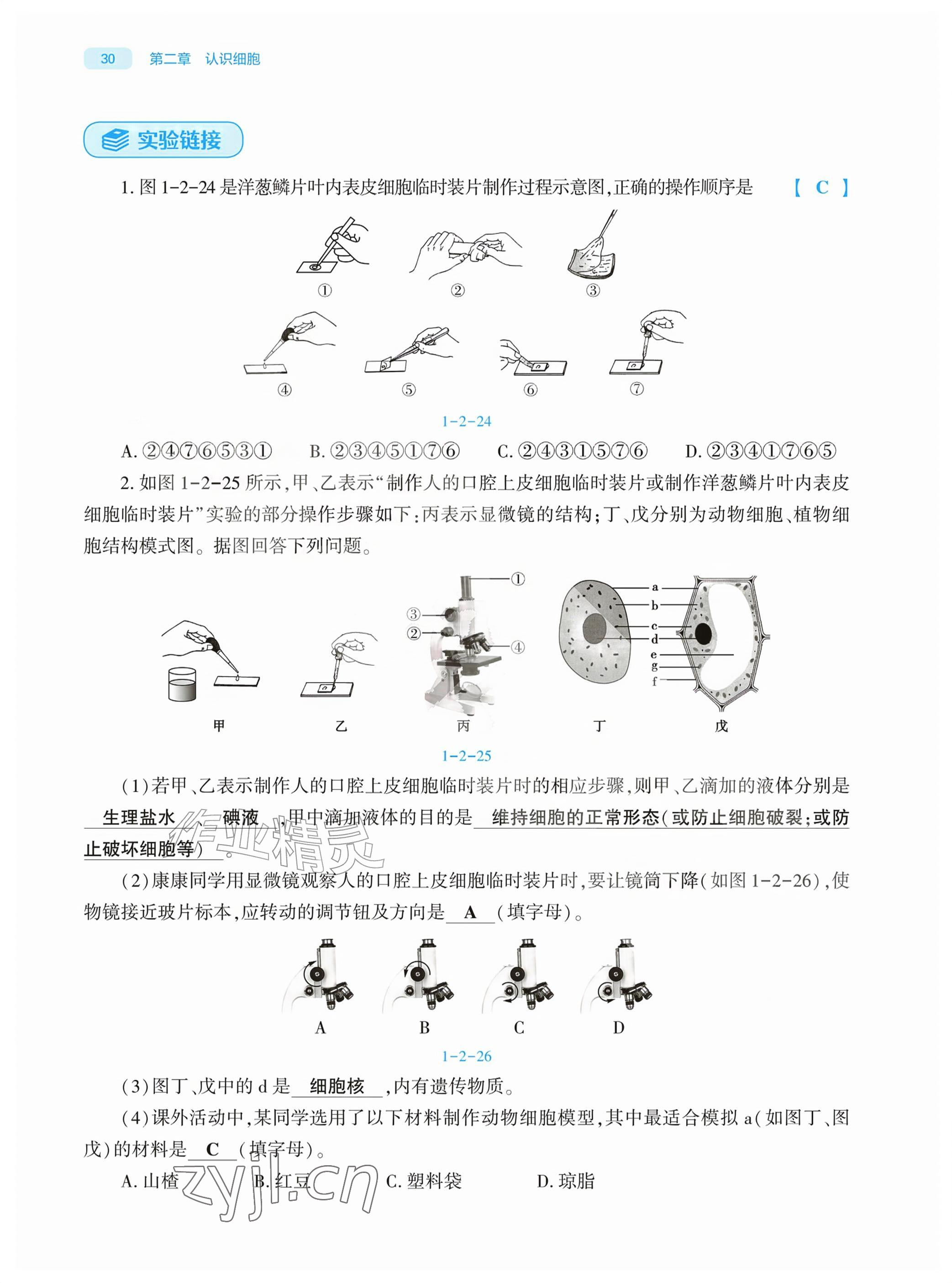 2026年基础训练大象出版社七年级生物上册人教版&nbsp;参考答案第30页