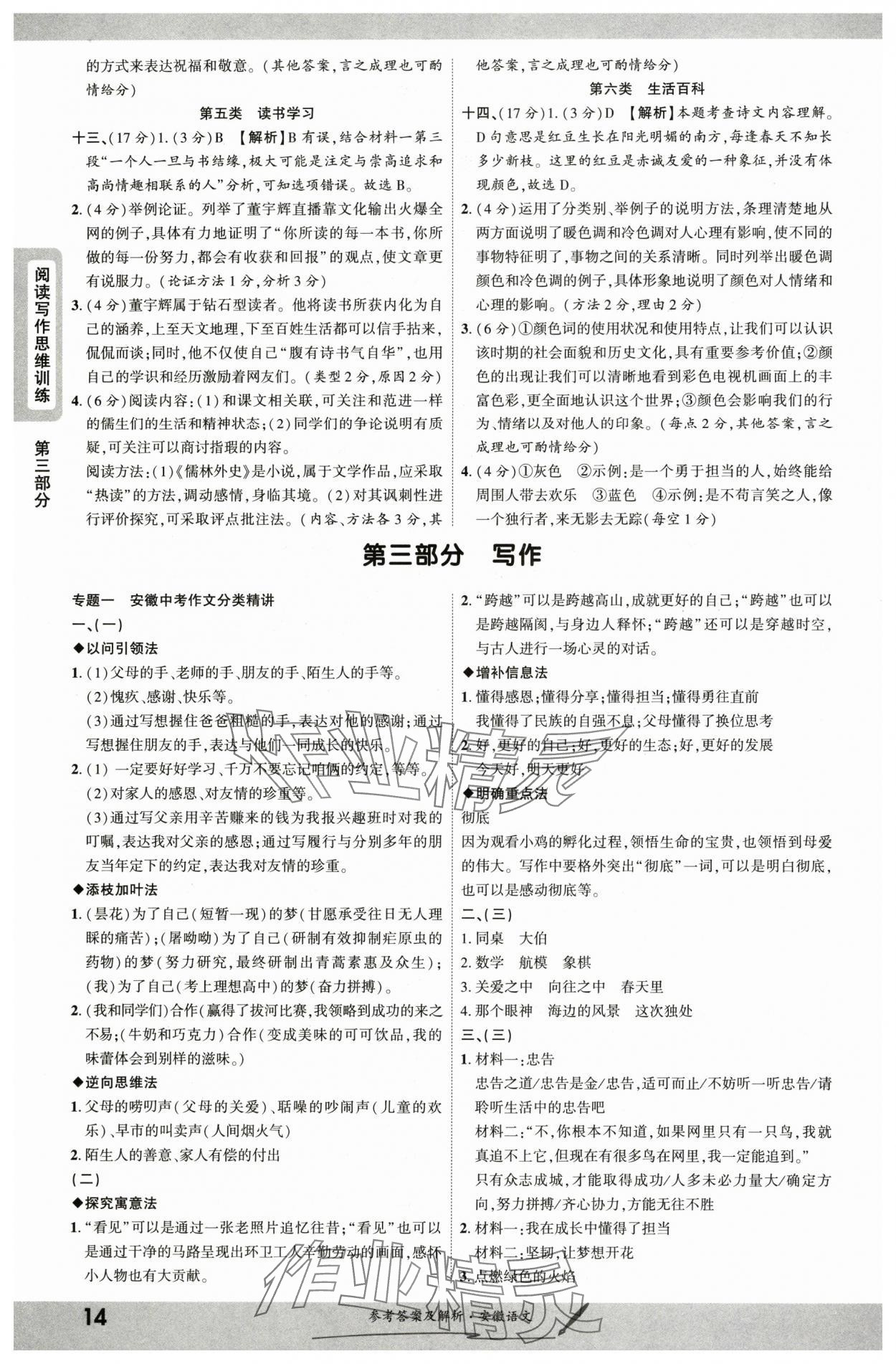 2025年一战成名新中考语文中考安徽专版&nbsp;参考答案第13页