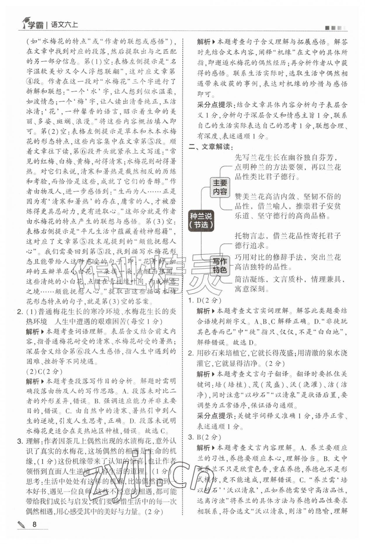 2026年经纶学典5星学霸六年级语文上册人教版&nbsp;第8页