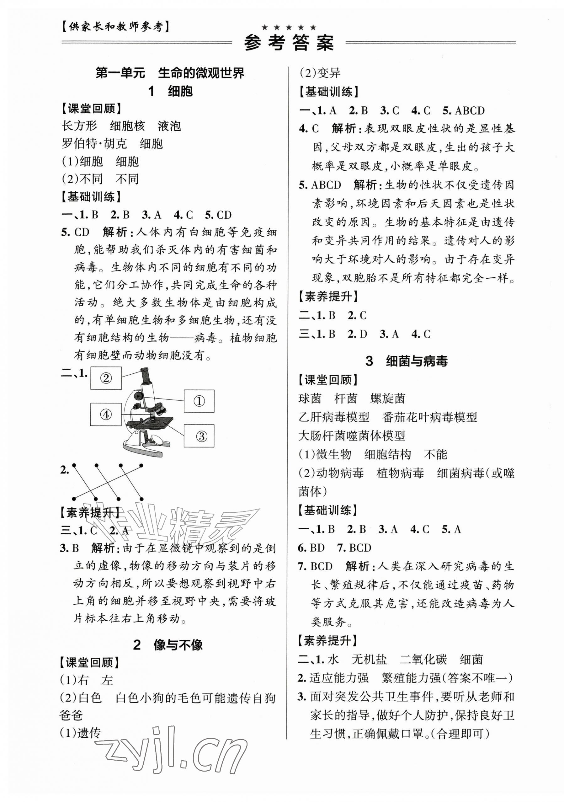 2026年小学学霸作业本六年级科学上册青岛版山东专版&nbsp;参考答案第1页