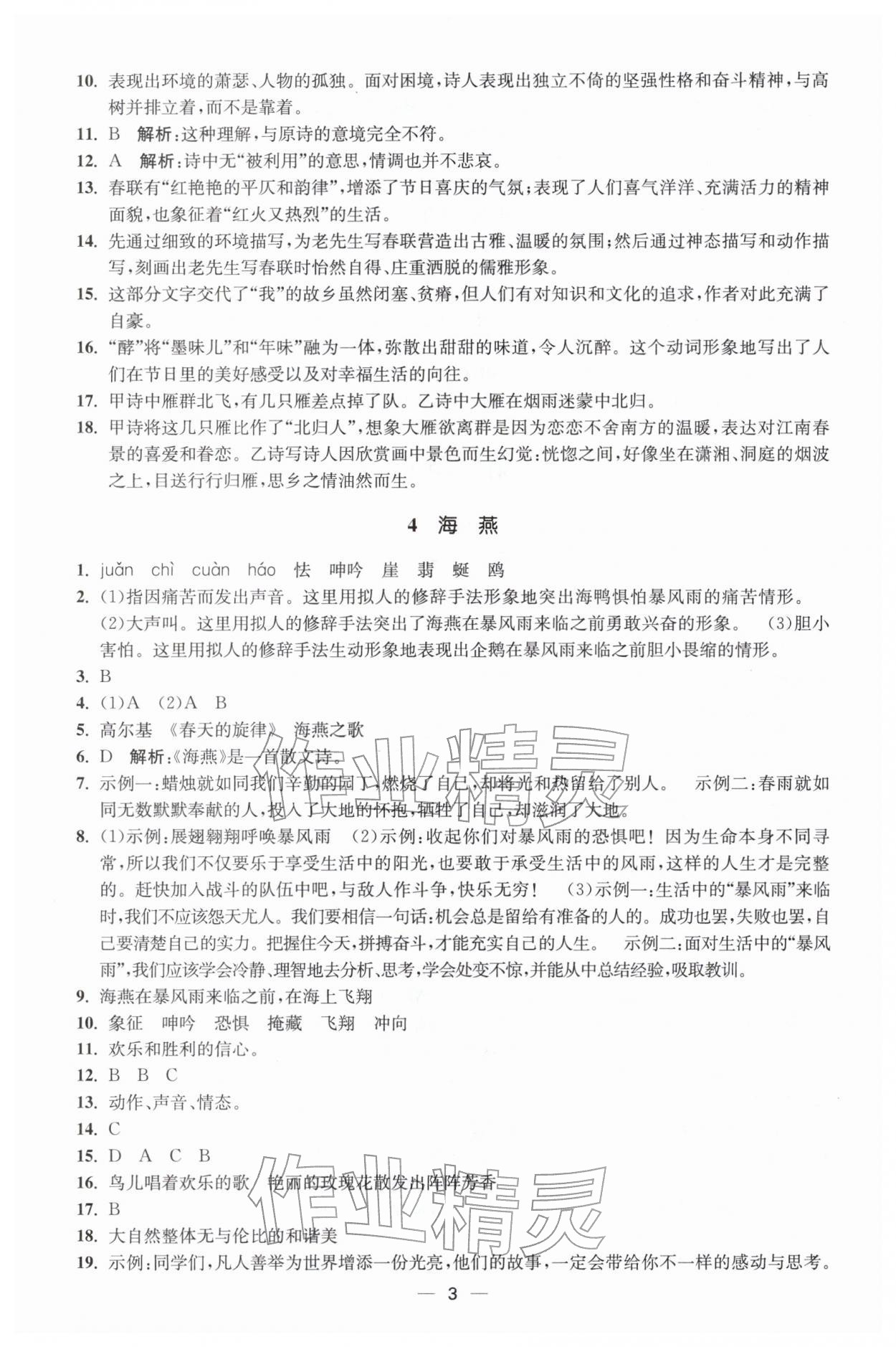 2026年能力素养与学力提升九年级语文下册人教版&nbsp;第3页