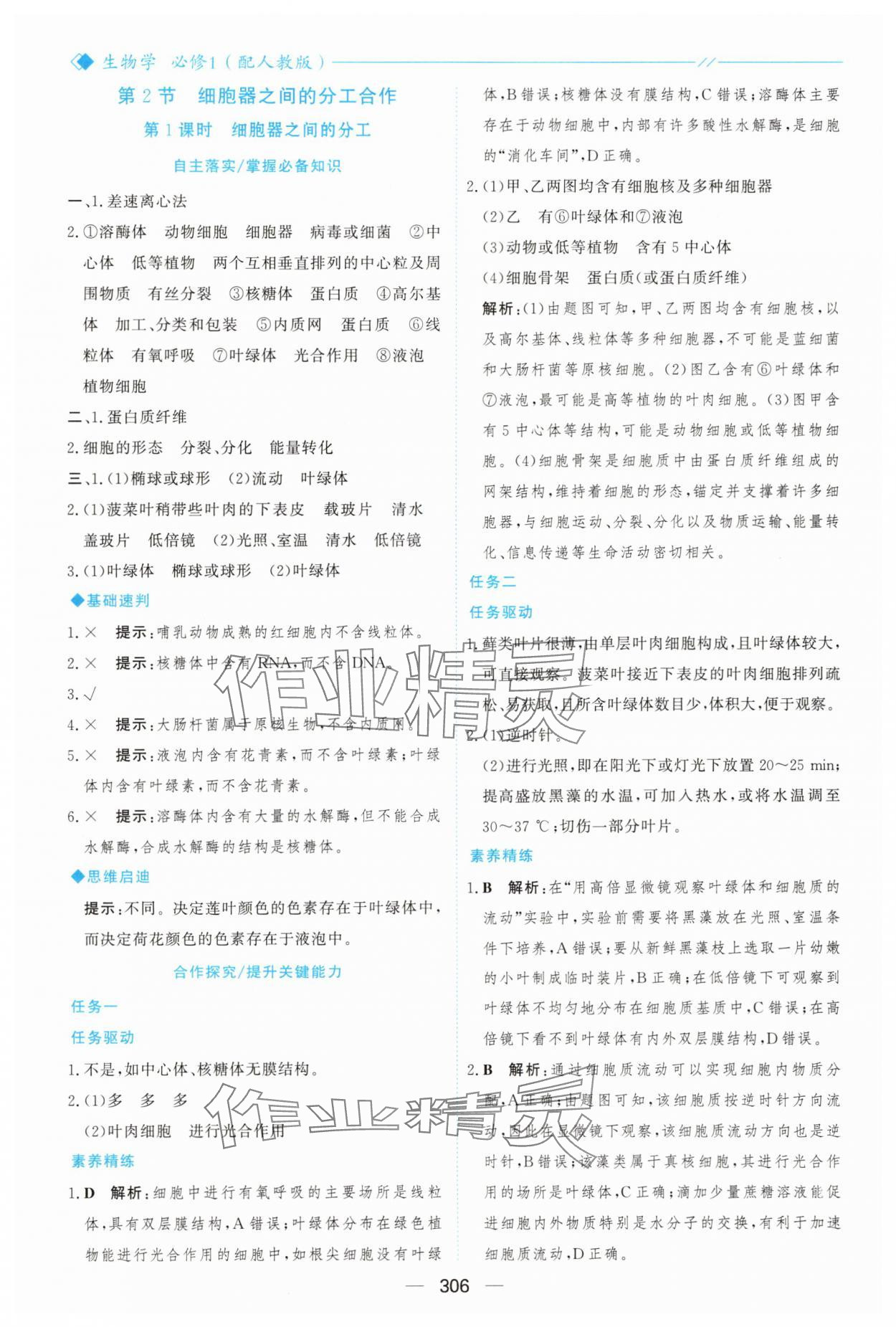 2025年新课程学习与测评高中生物必修1人教版&nbsp;参考答案第17页