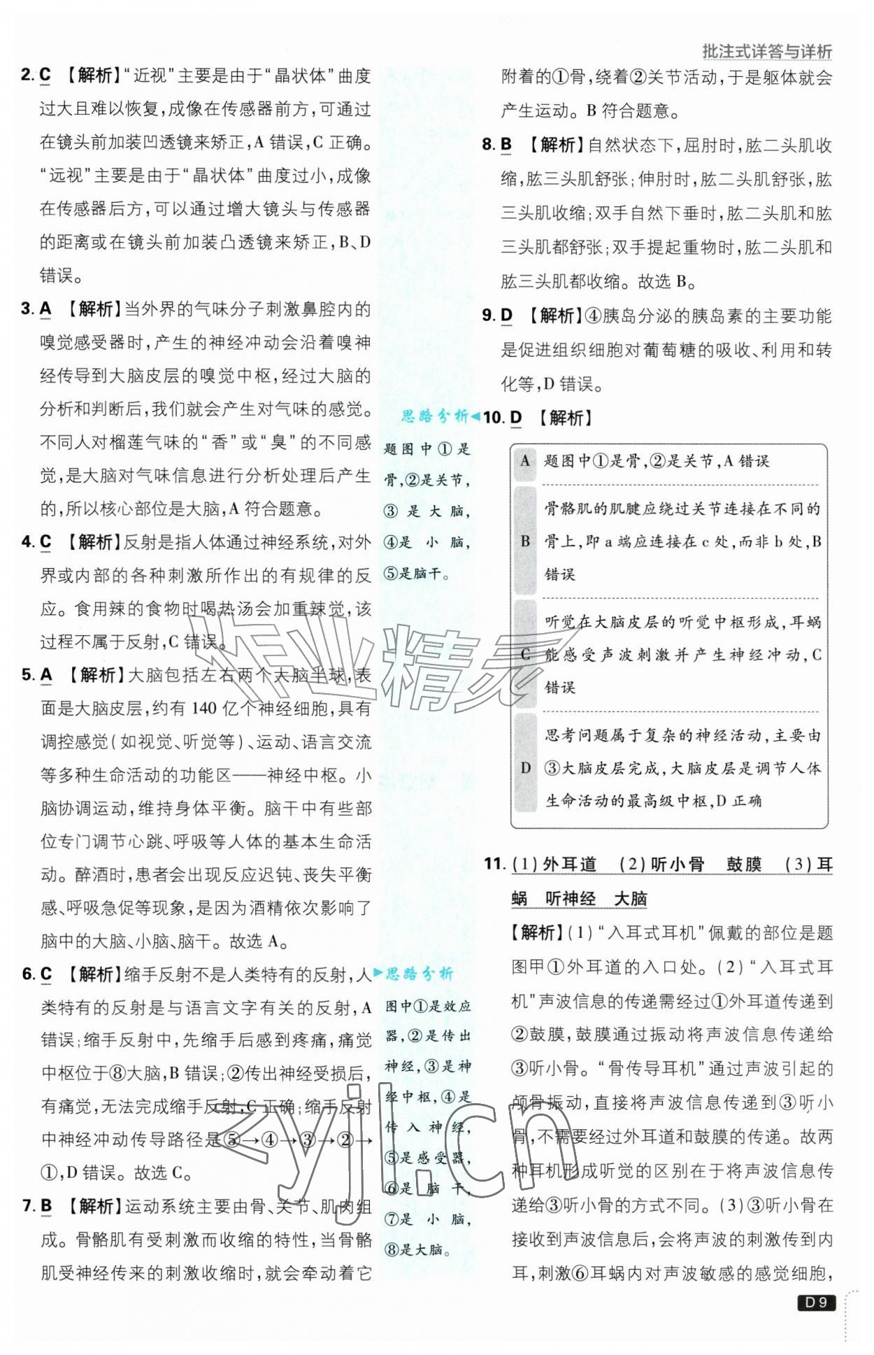 2026年初中必刷题八年级生物上册人教版&nbsp;第9页
