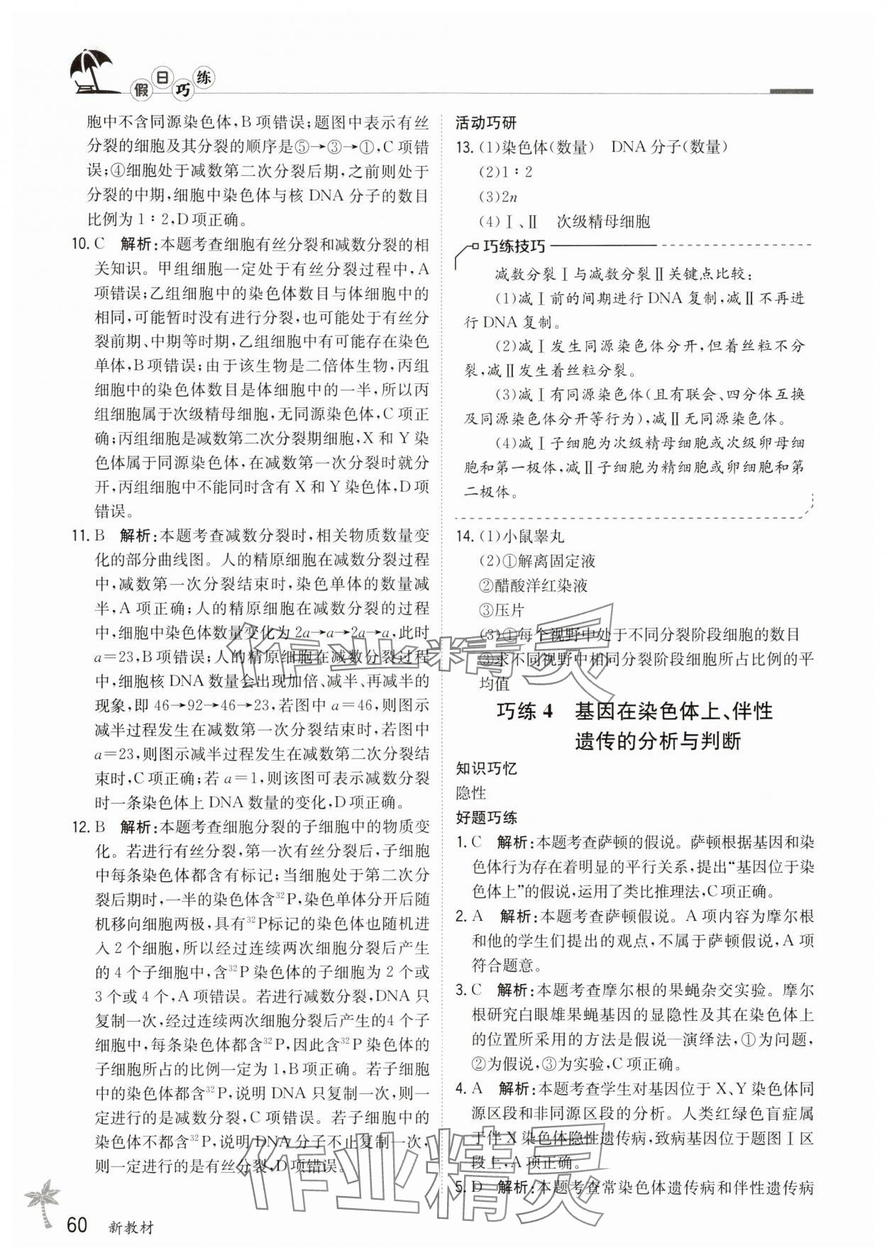 2025年假日巧练高中生物必修2&nbsp;第4页